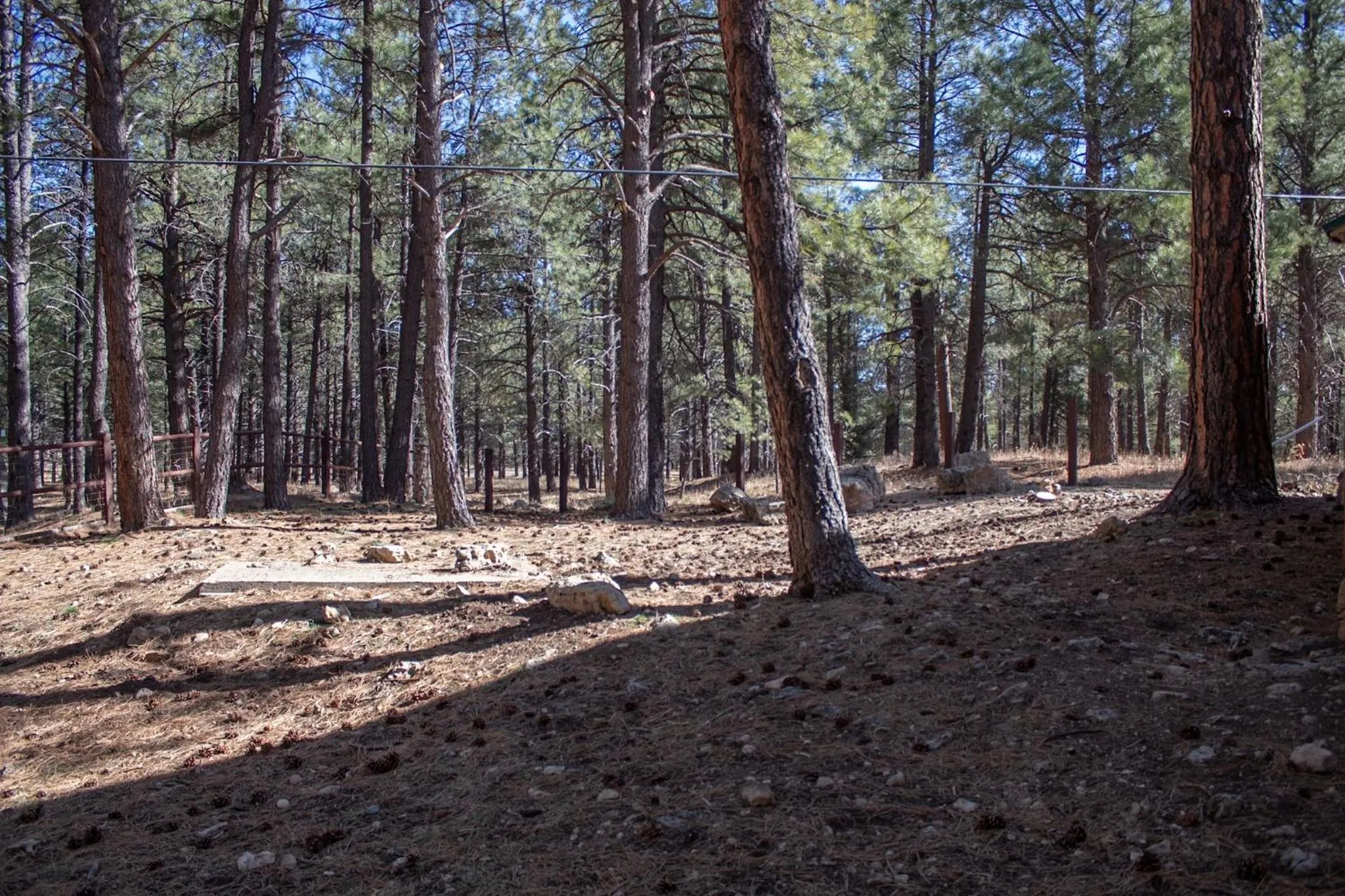 View (from property/room) in Arizona Mountain Inn & Cabins