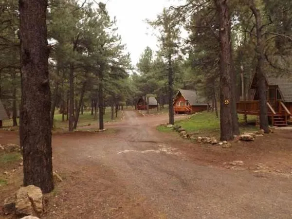 Spring in Arizona Mountain Inn & Cabins