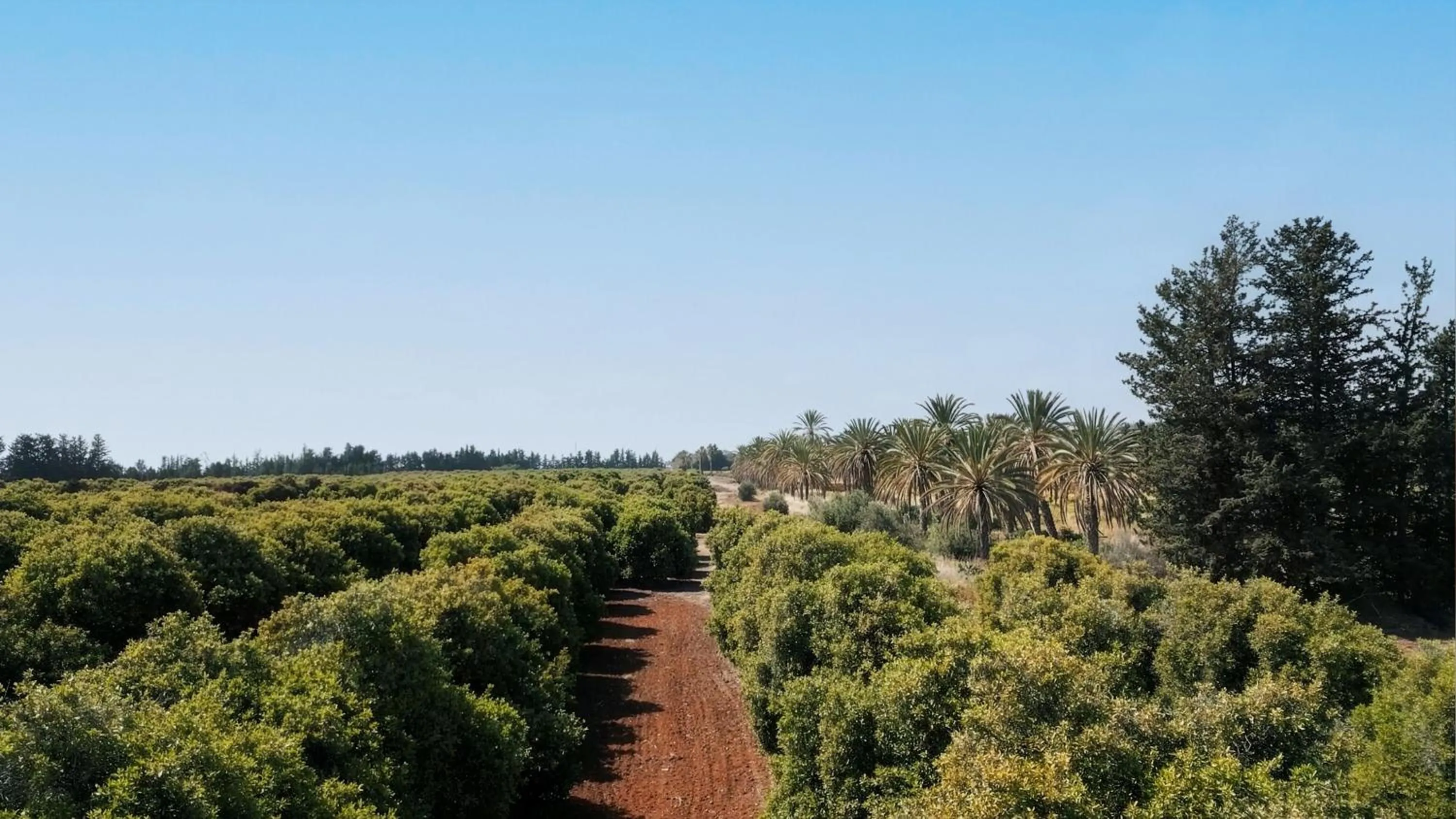 Natural landscape in Azia Resort & Spa