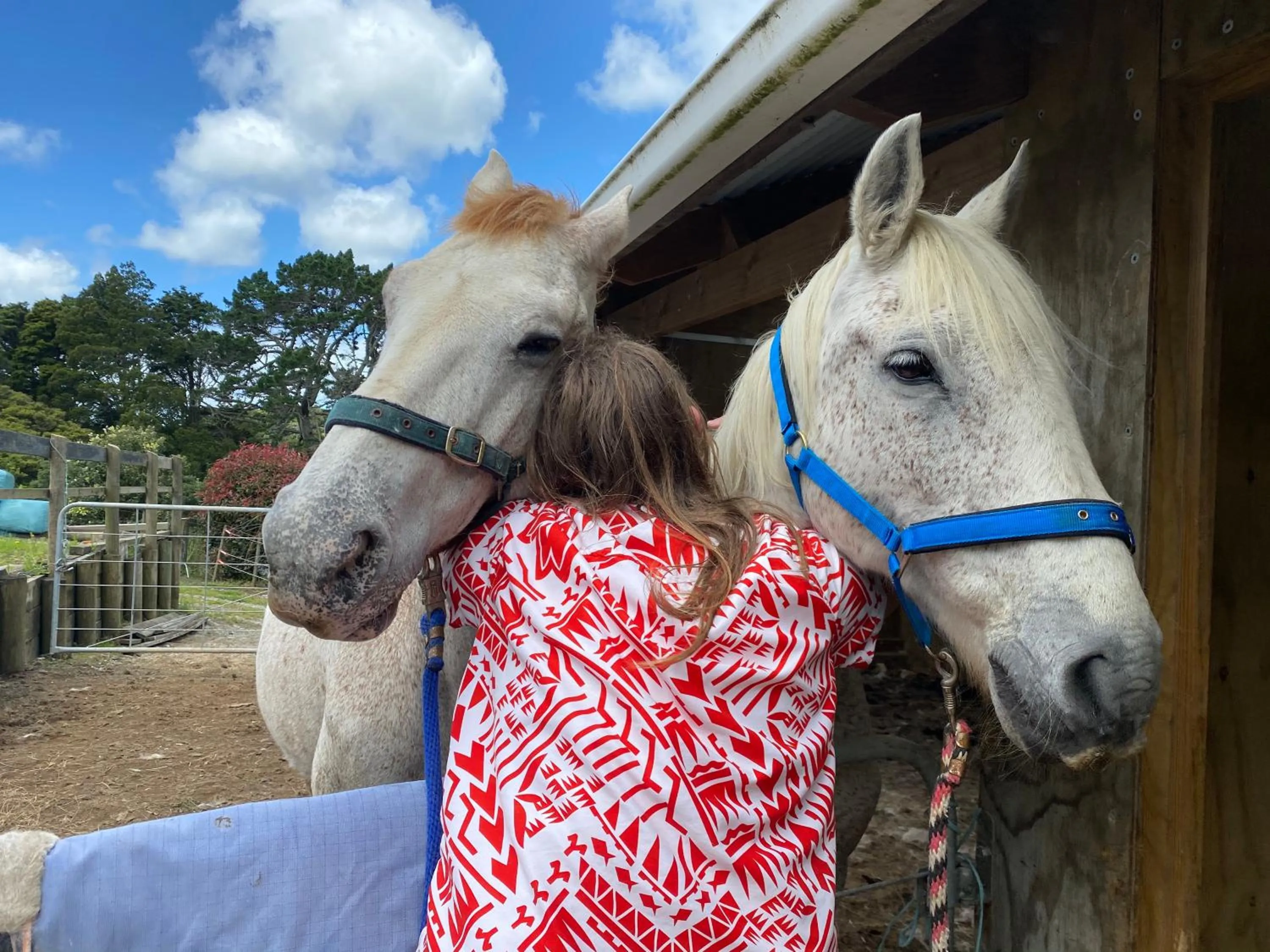 Animals in Pukeatua Farmstay