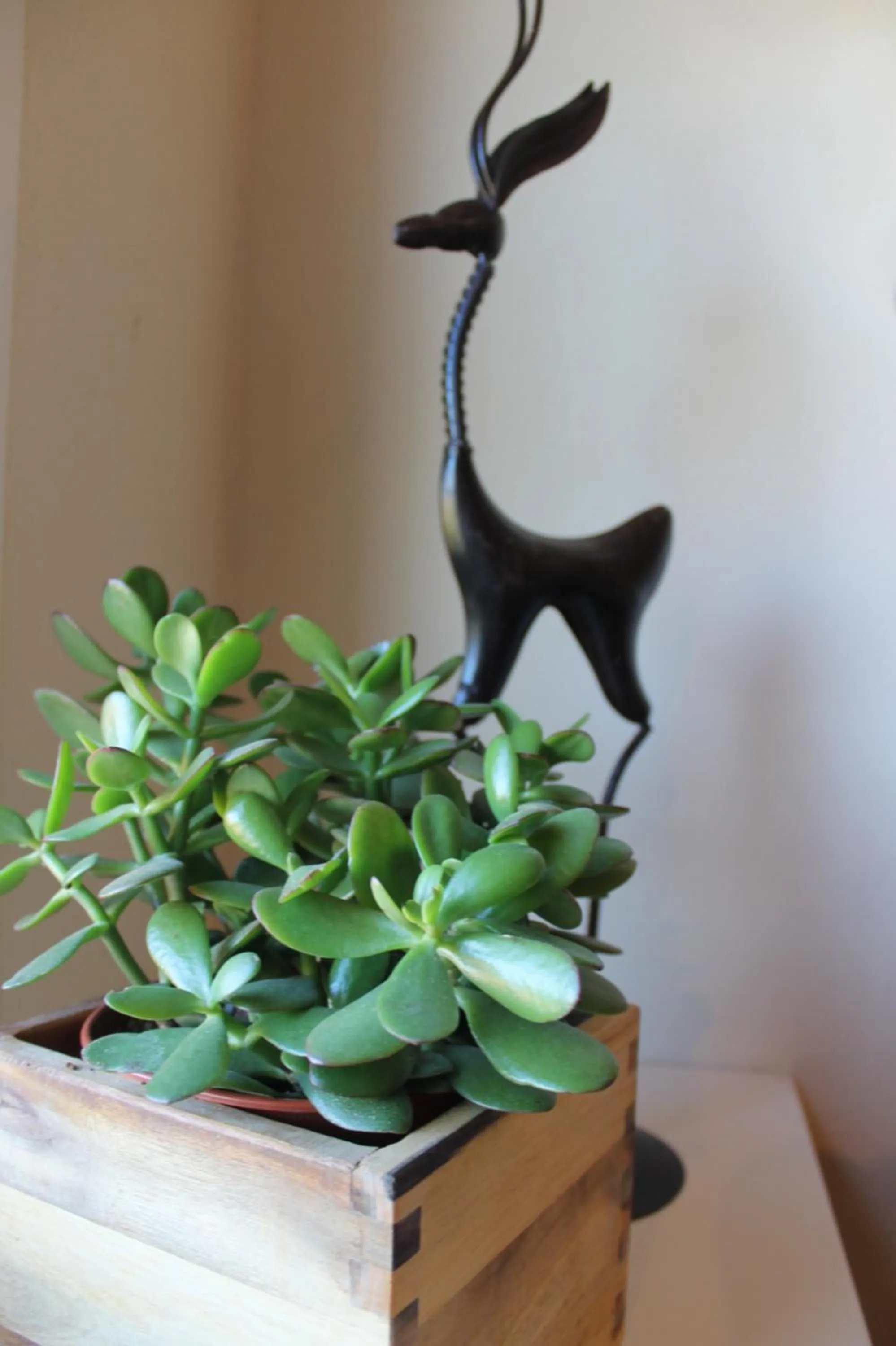 hair dresser in Boutique Hotel Nieuw Beusink