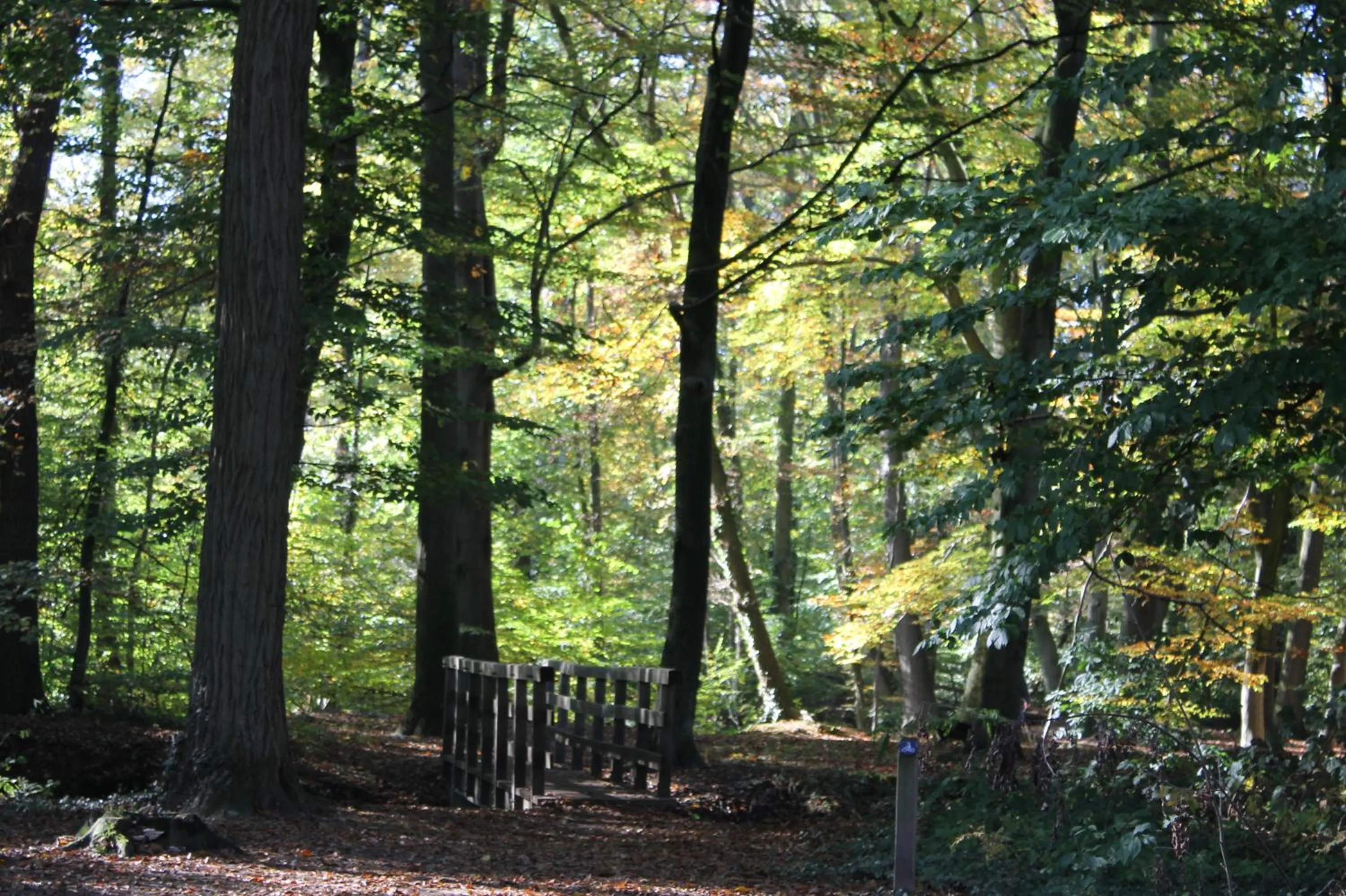 Natural landscape in Boutique Hotel Nieuw Beusink
