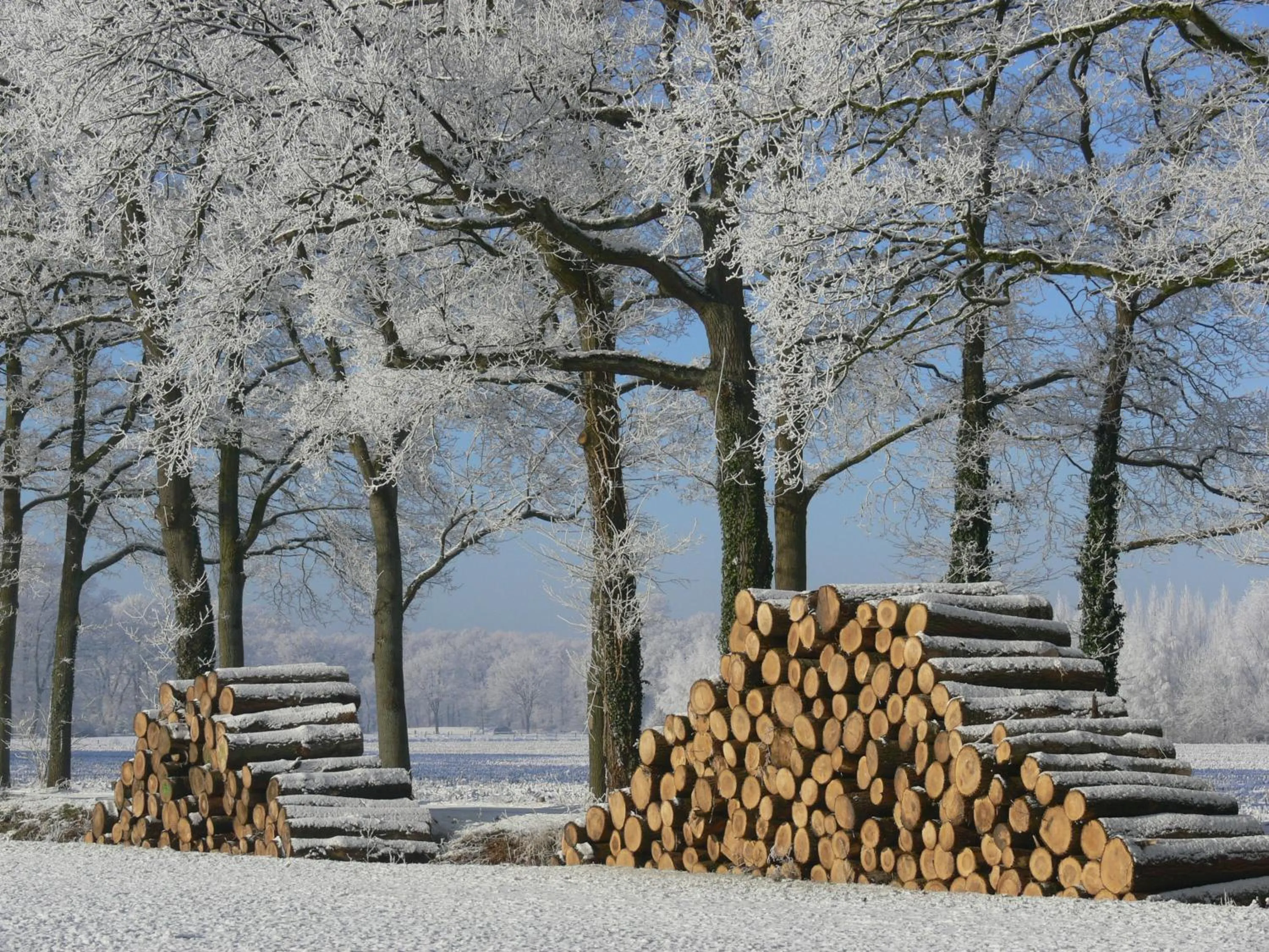 Natural landscape in Boutique Hotel Nieuw Beusink