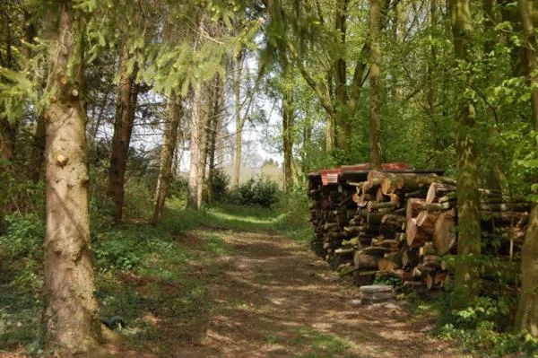 Natural landscape in Boutique Hotel Nieuw Beusink