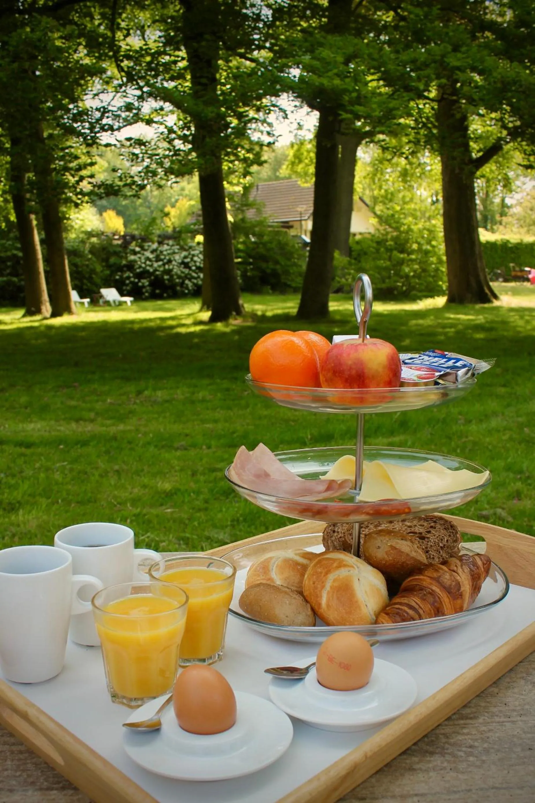 Garden in Boutique Hotel Nieuw Beusink