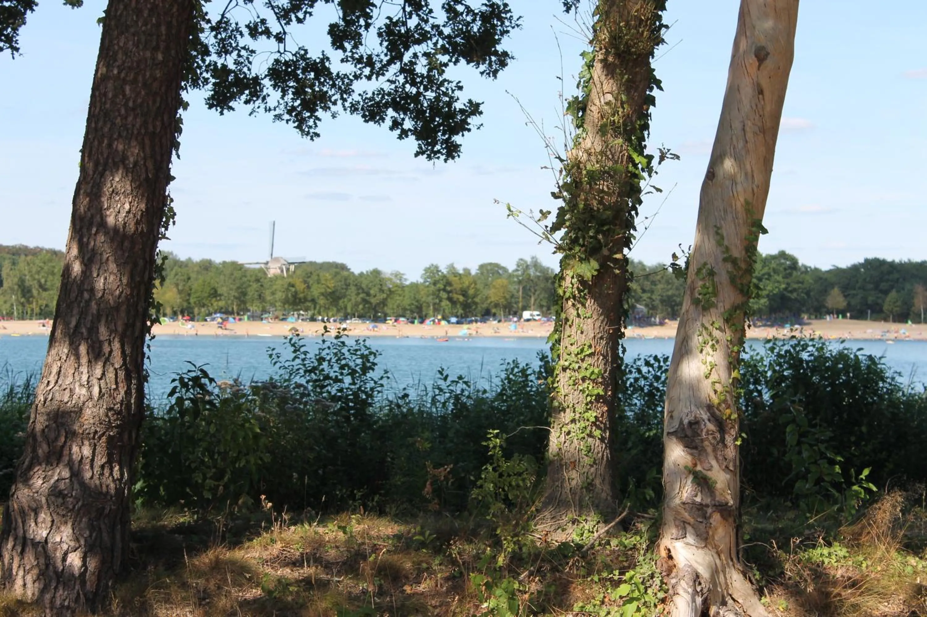 Natural landscape in Boutique Hotel Nieuw Beusink