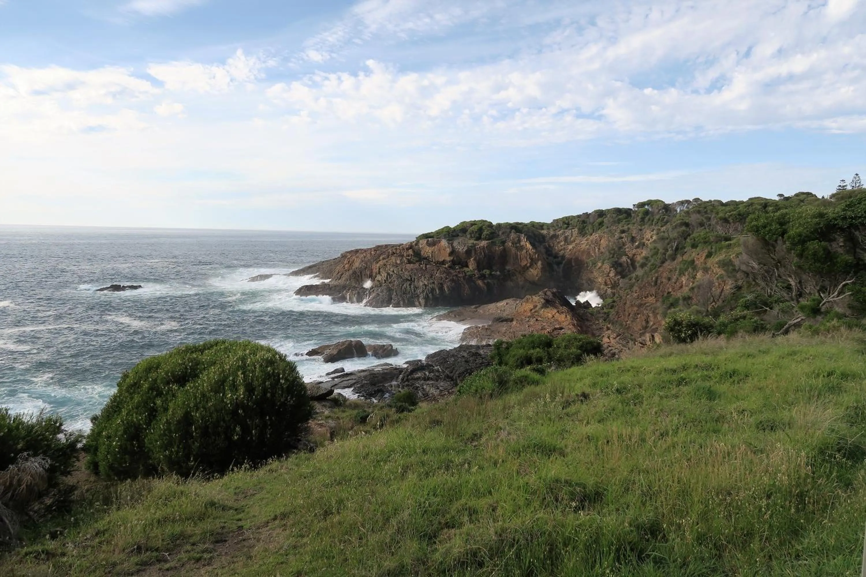 Natural landscape in Tathra Hotel & Motel