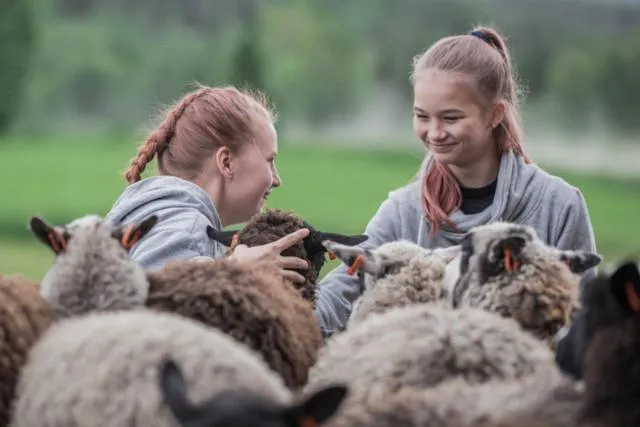 Area and facilities in Paljakka Mökit