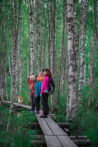 Natural landscape in Paljakka Mökit