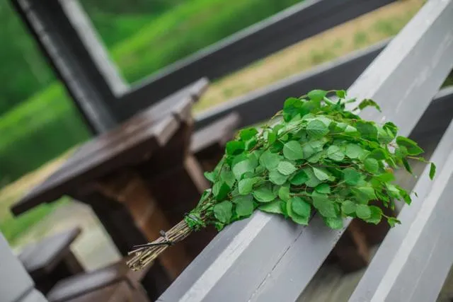 Other in Paljakka Mökit