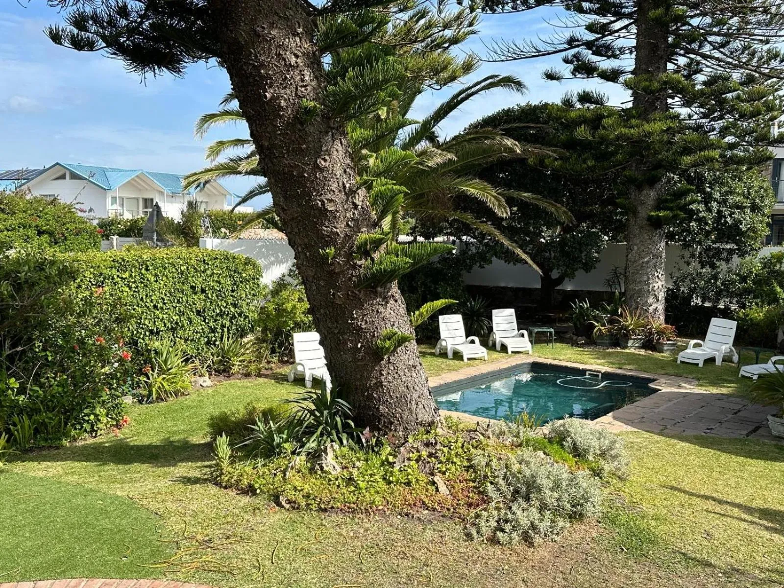 Pool view in House on Westcliff