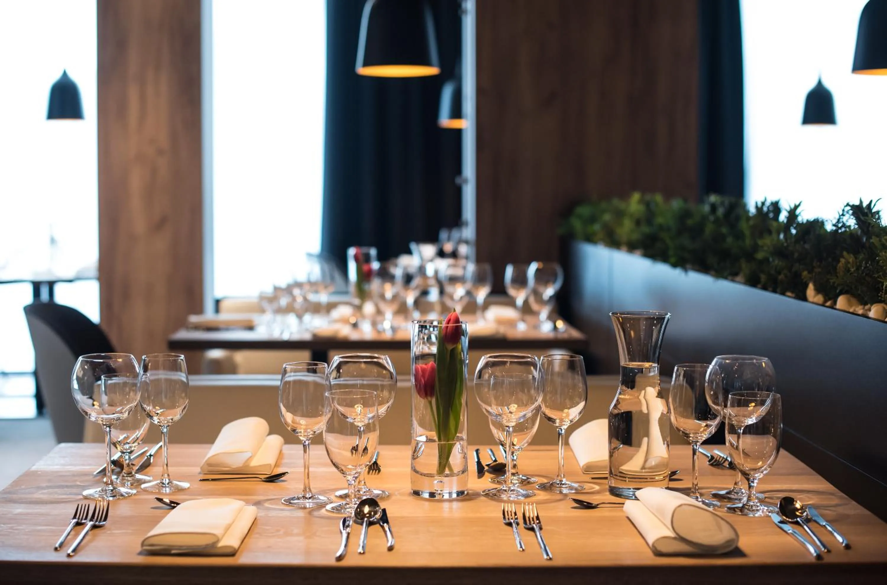 Restaurant/places to eat in Hotel Limanova