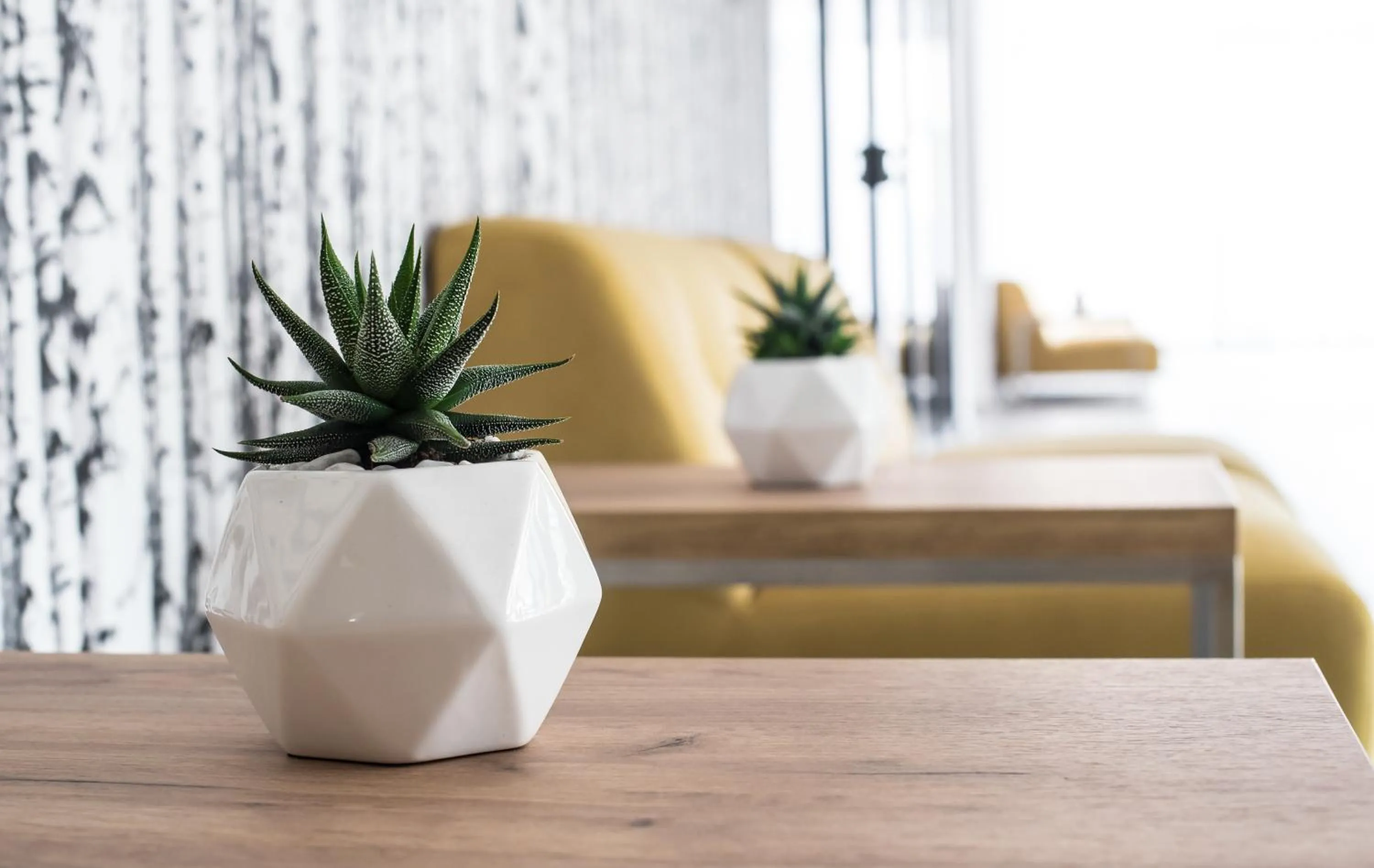 Lobby or reception in Hotel Limanova