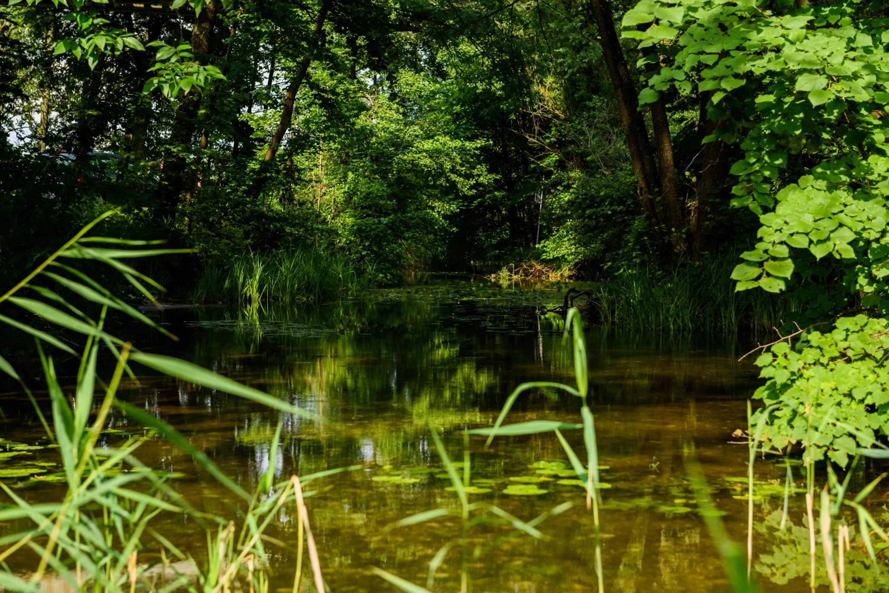 Nearby landmark in Apartamenty Szelągówka, Sun & Snow