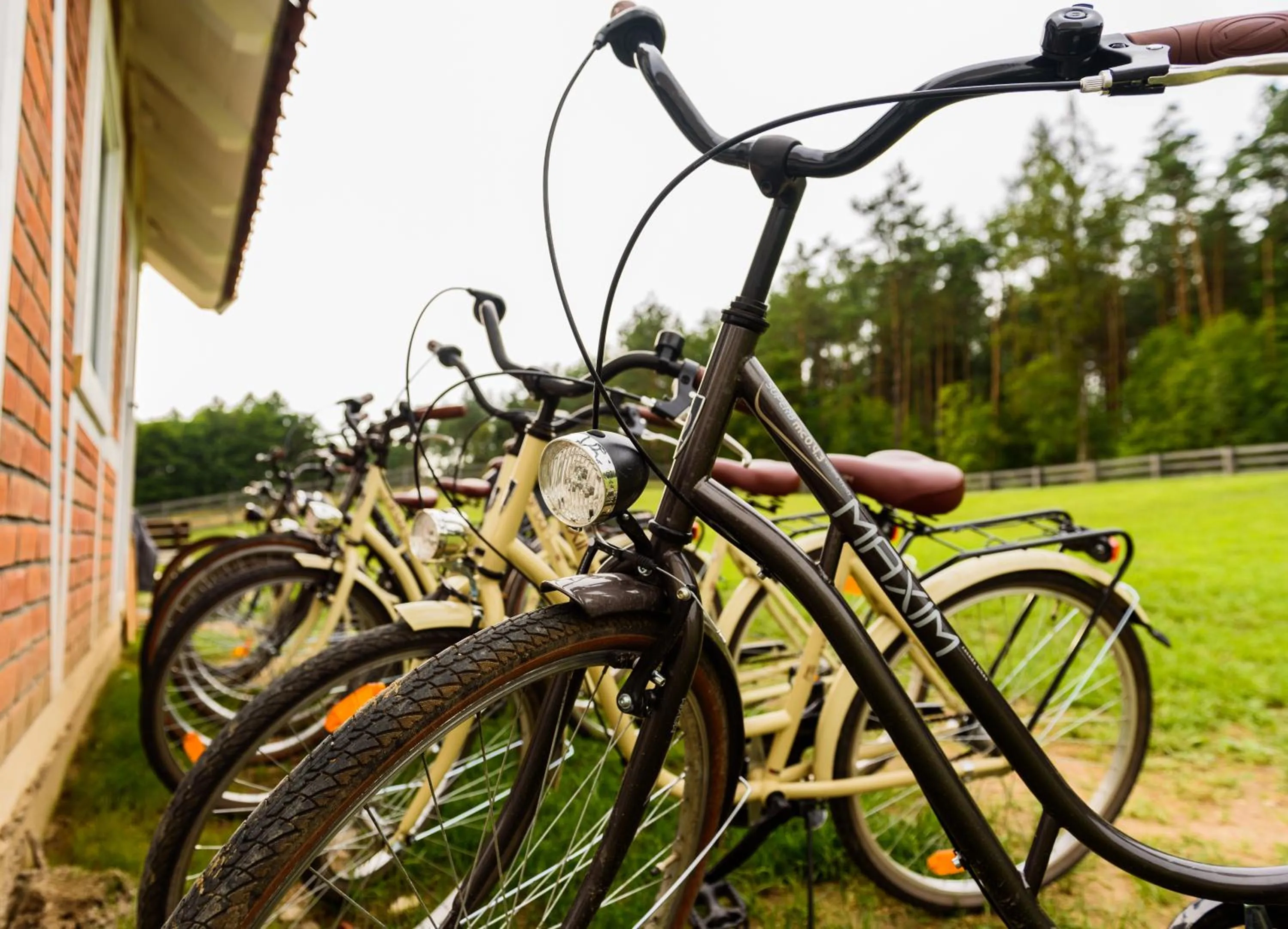 Cycling in Apartamenty Szelągówka, Sun & Snow