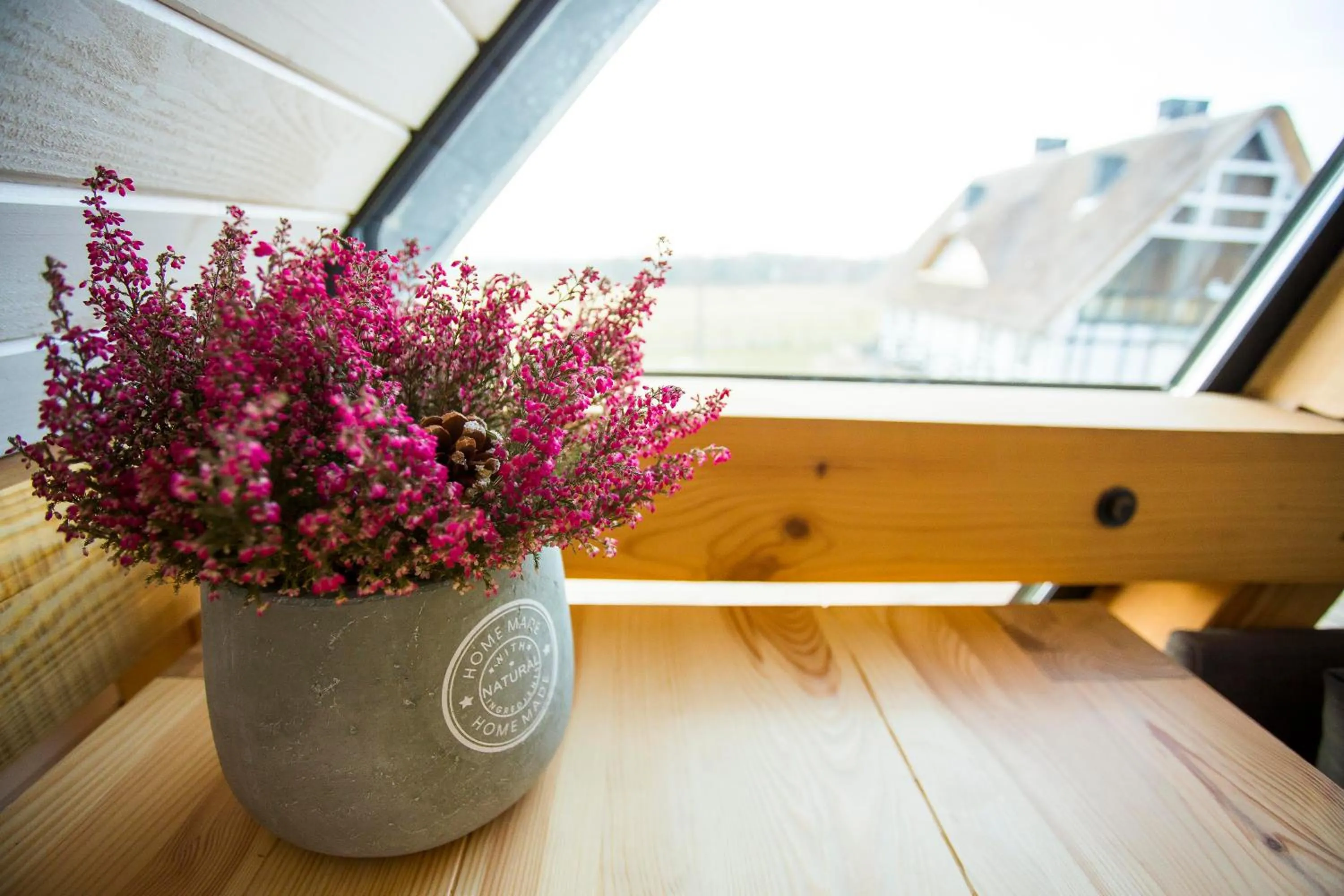 View (from property/room) in Apartamenty Szelągówka, Sun & Snow