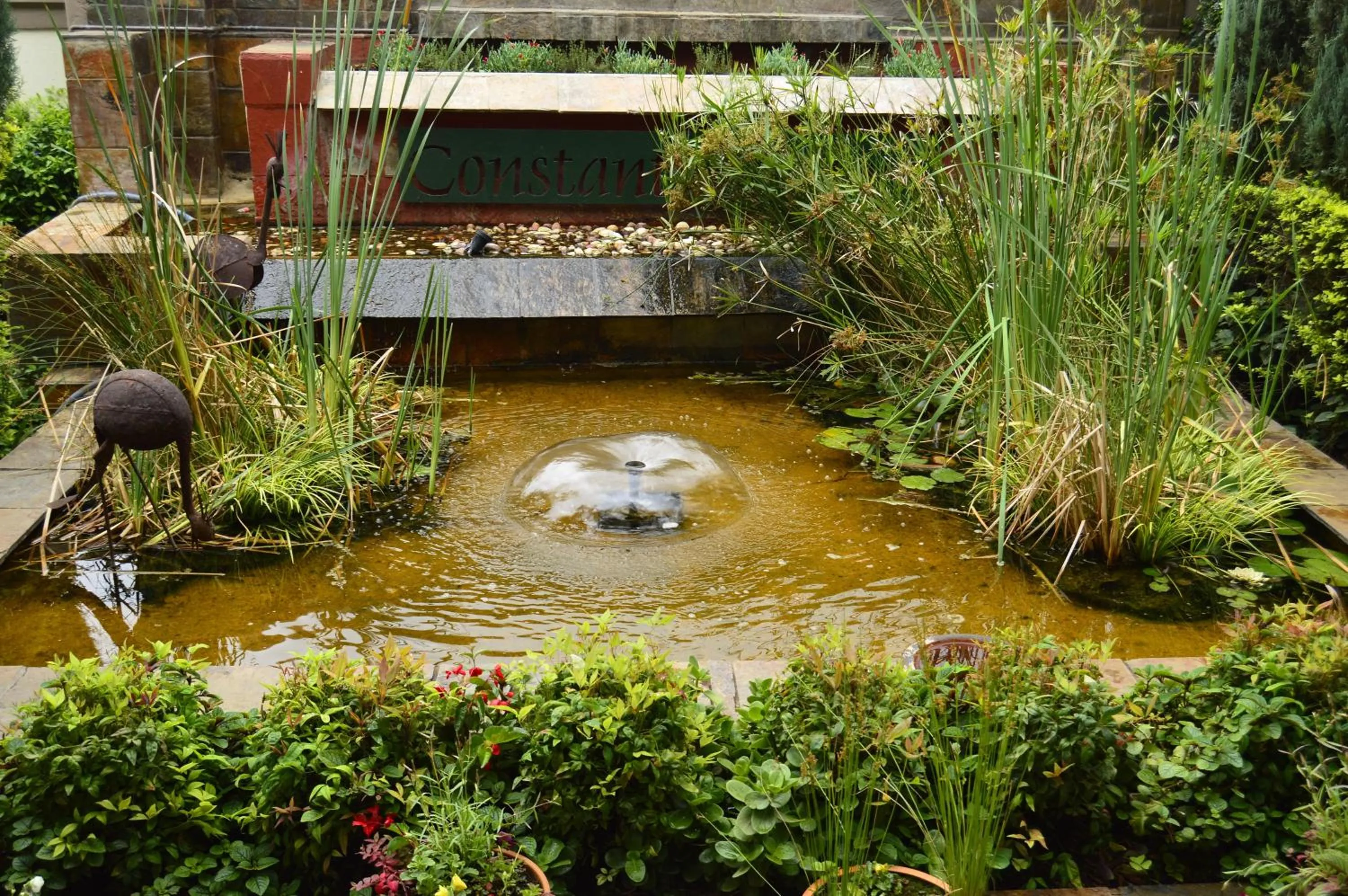 Garden in Constantia Manor Guest House