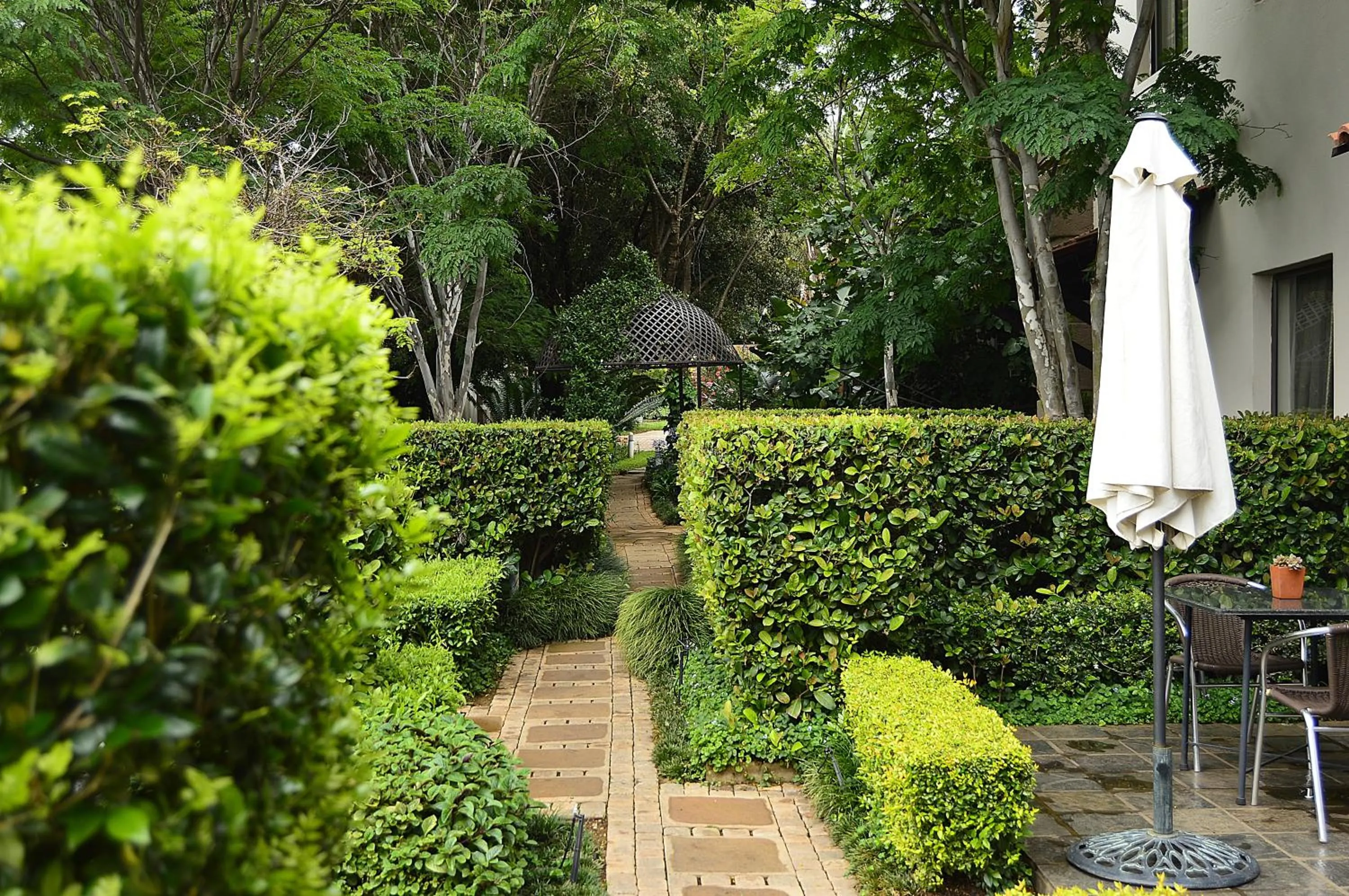 Garden in Constantia Manor Guest House