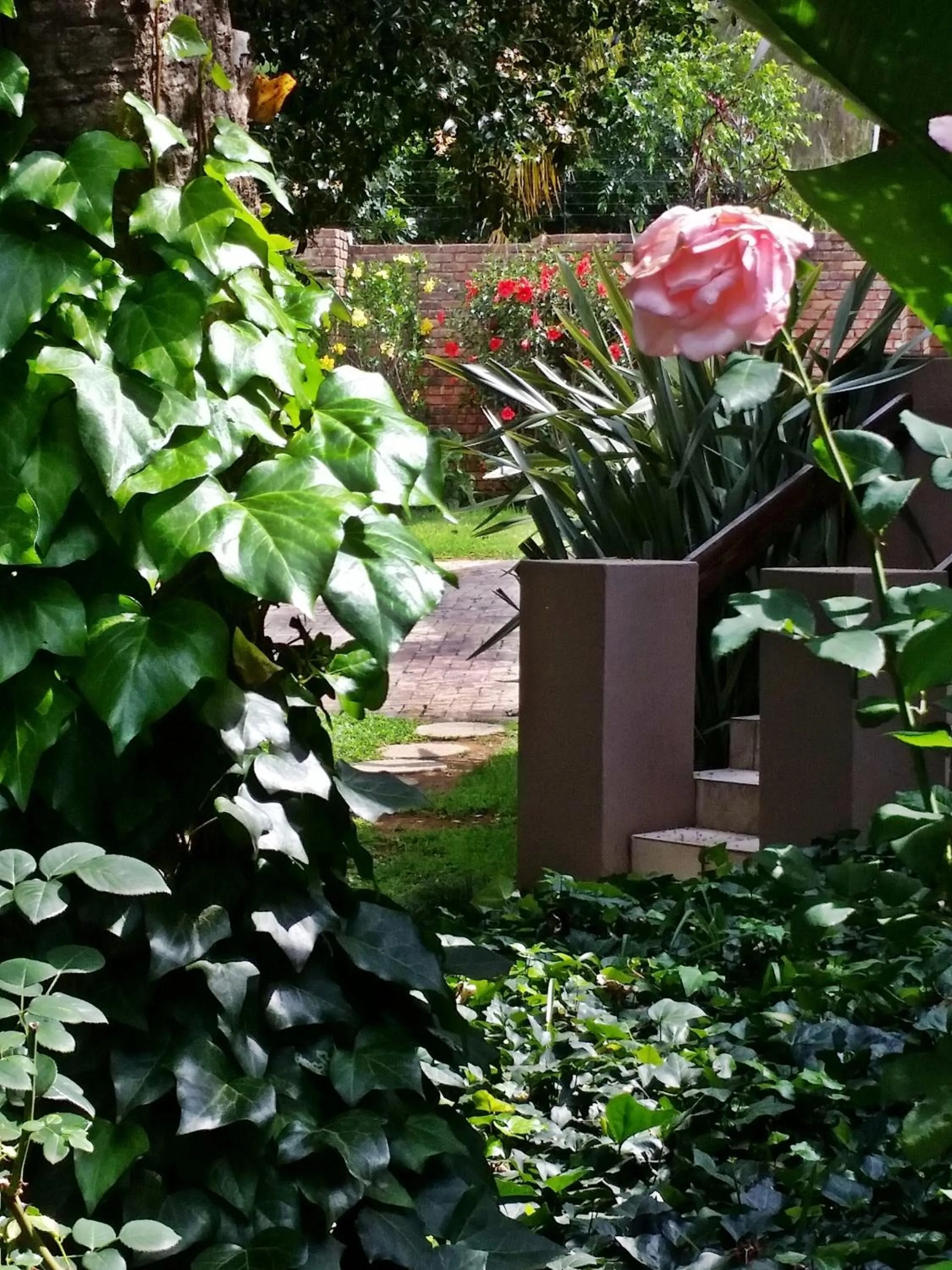 Garden in Constantia Manor Guest House