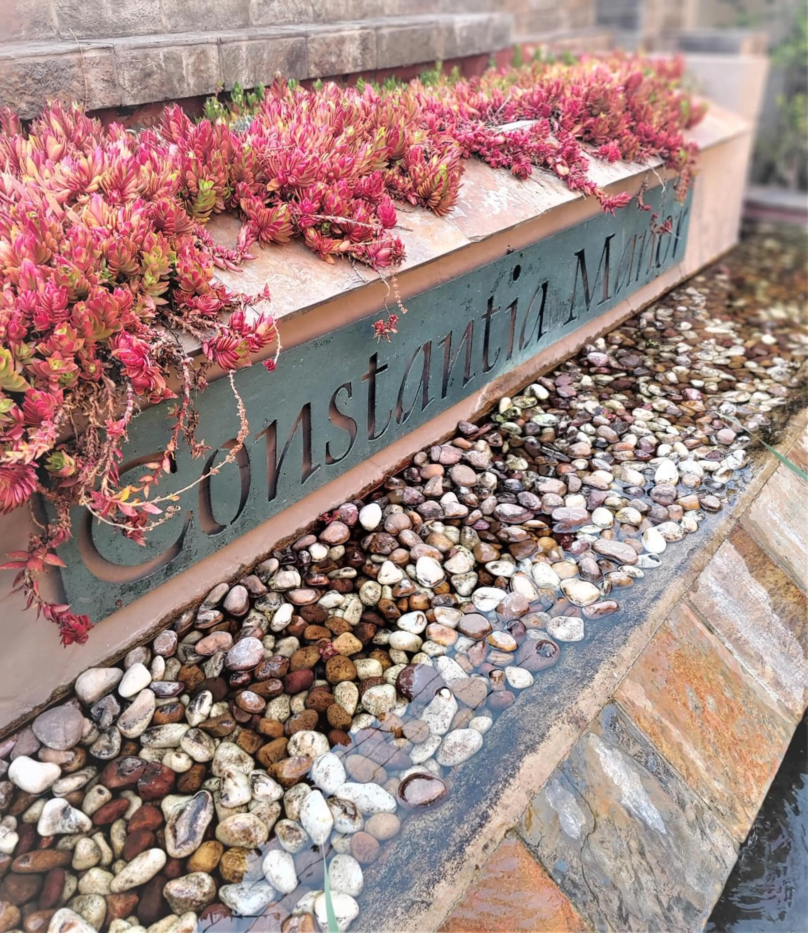 Property logo or sign in Constantia Manor Guest House