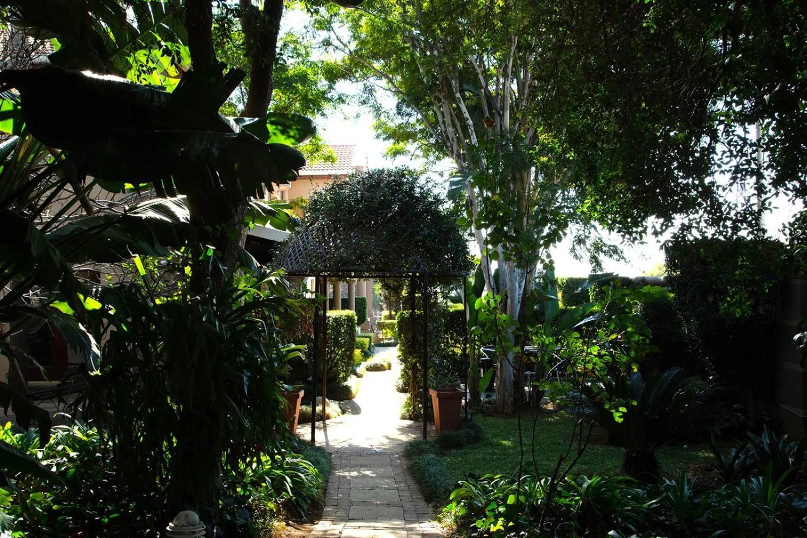 Spring in Constantia Manor Guest House