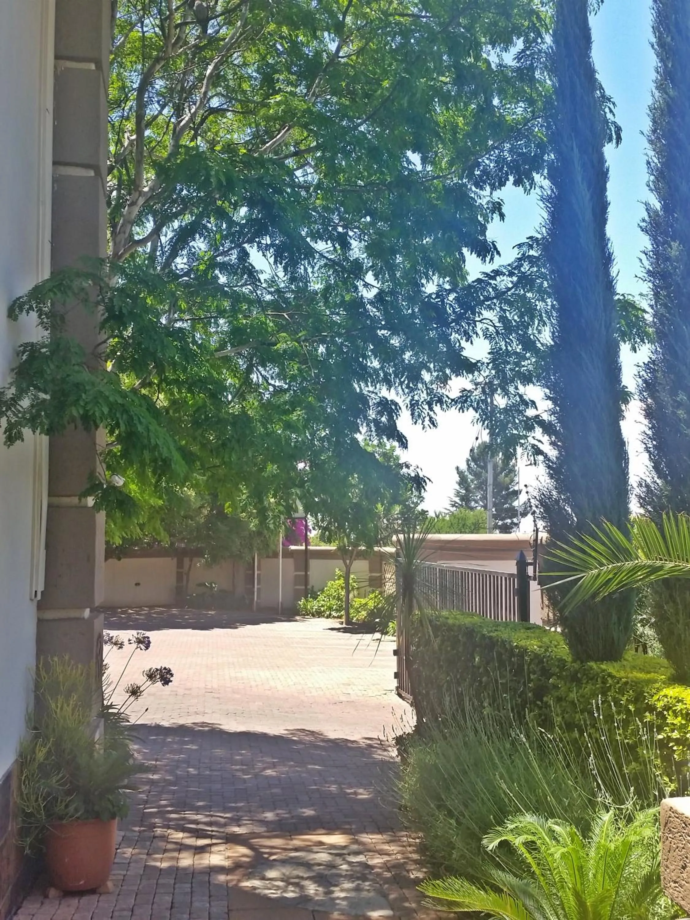 Garden in Constantia Manor Guest House