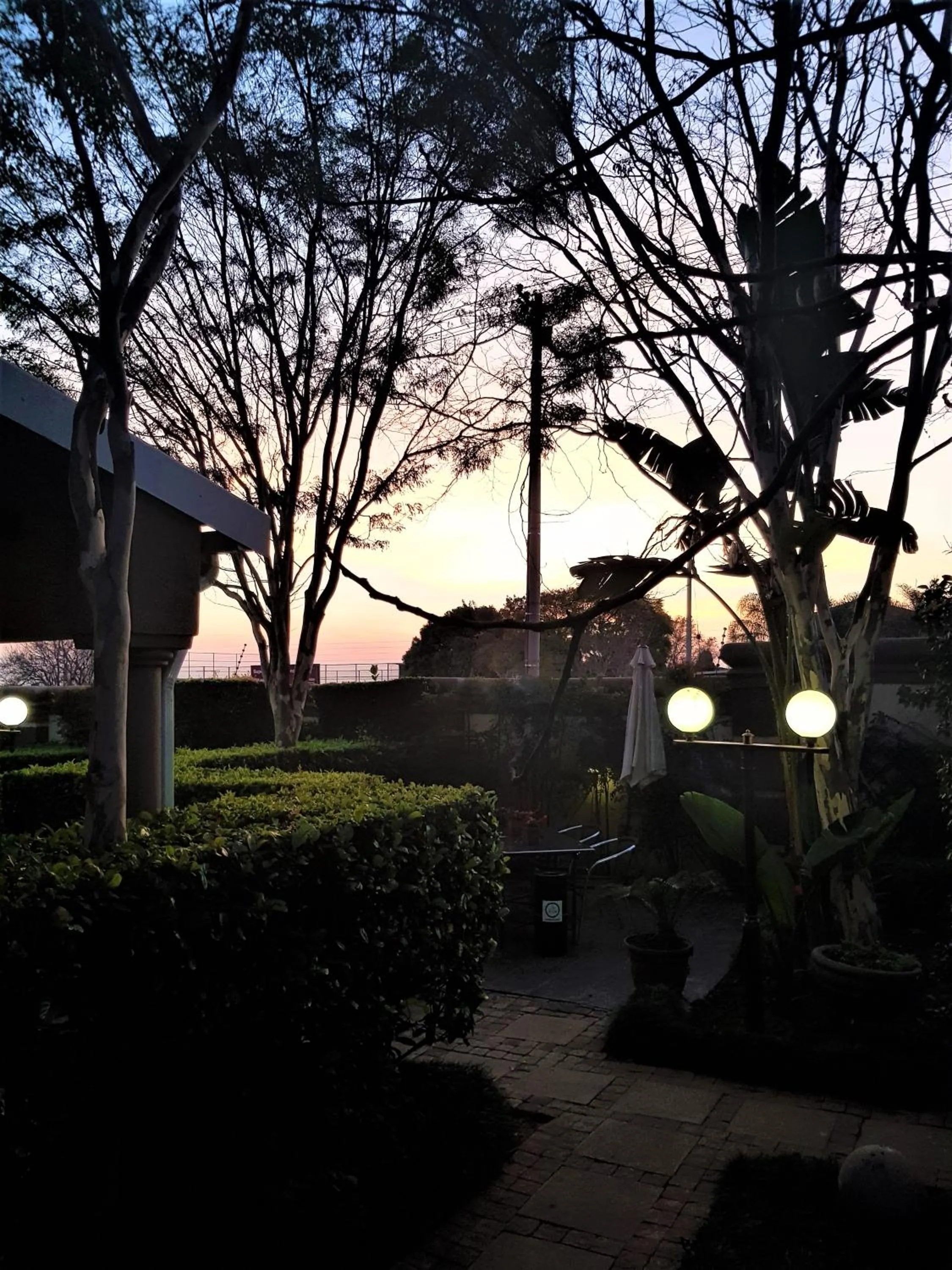 Garden in Constantia Manor Guest House