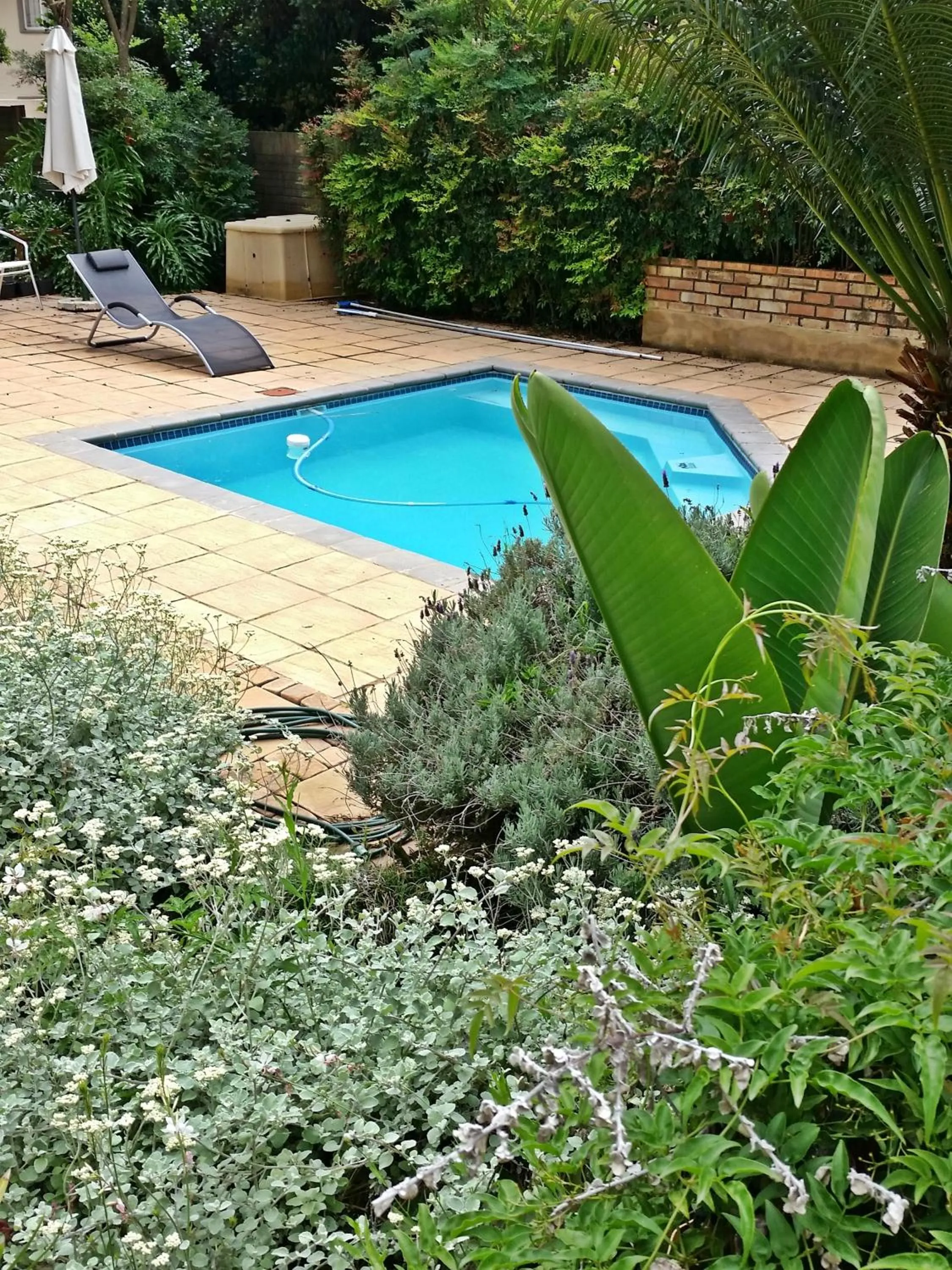 Garden in Constantia Manor Guest House