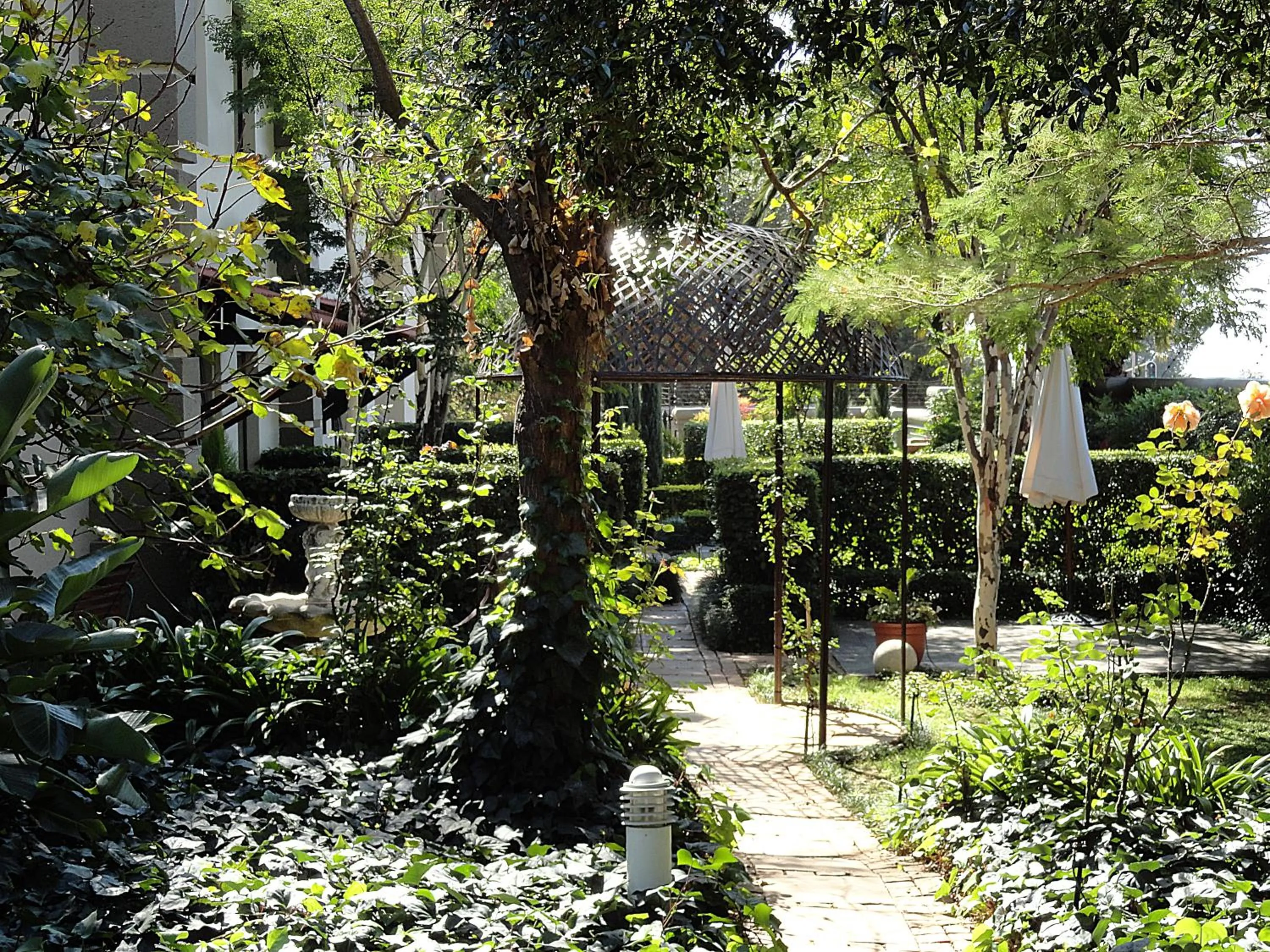 Garden in Constantia Manor Guest House