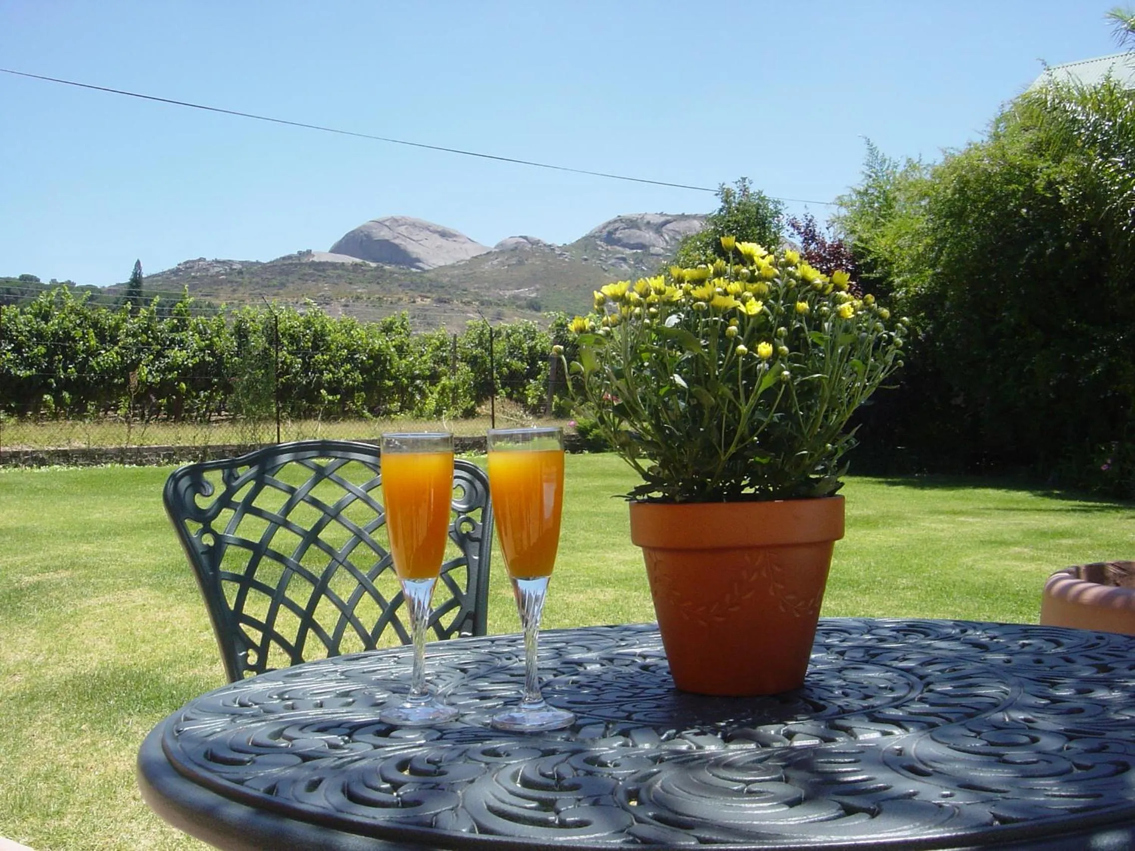 Garden in Oak Tree Lodge