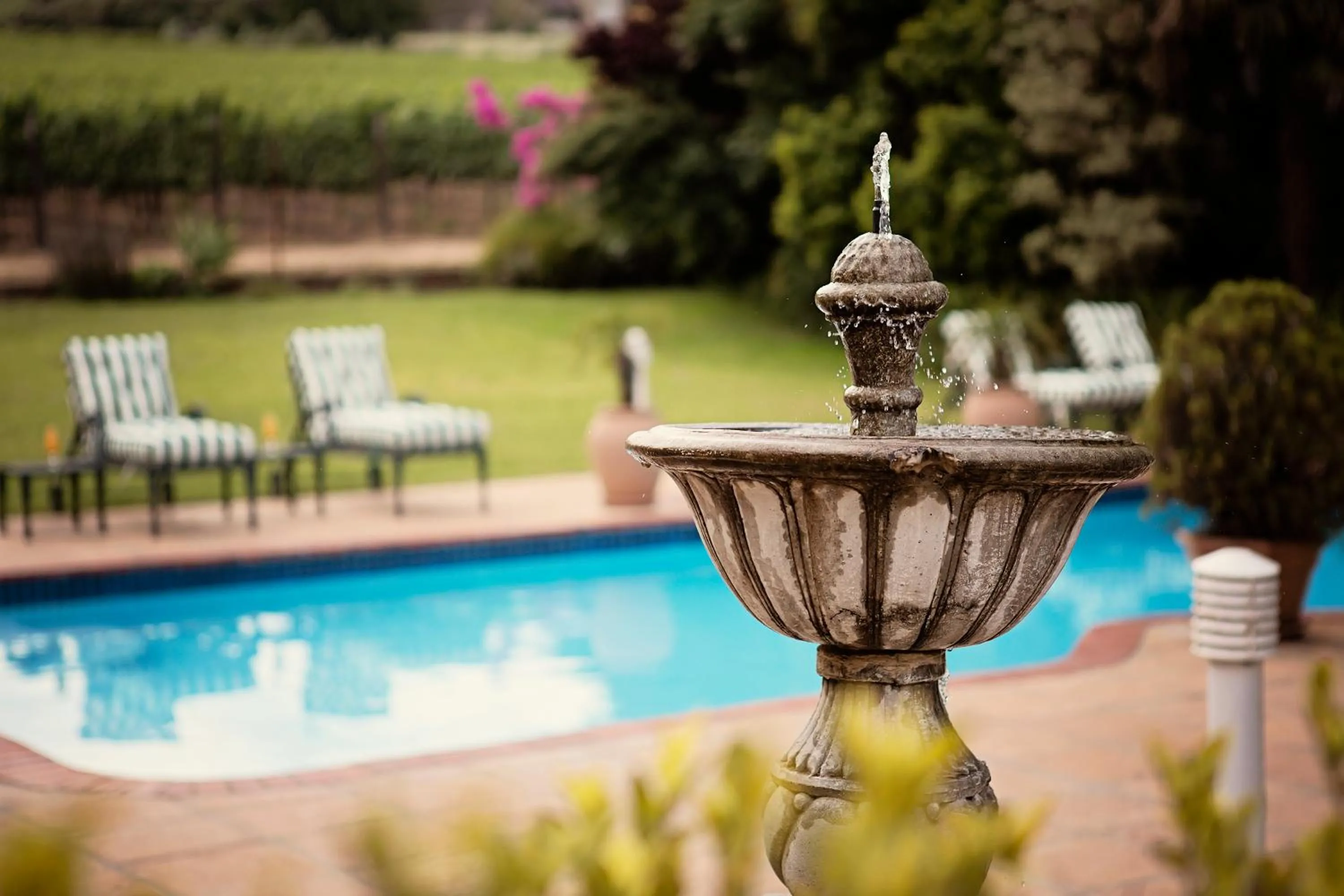 Swimming pool in Oak Tree Lodge