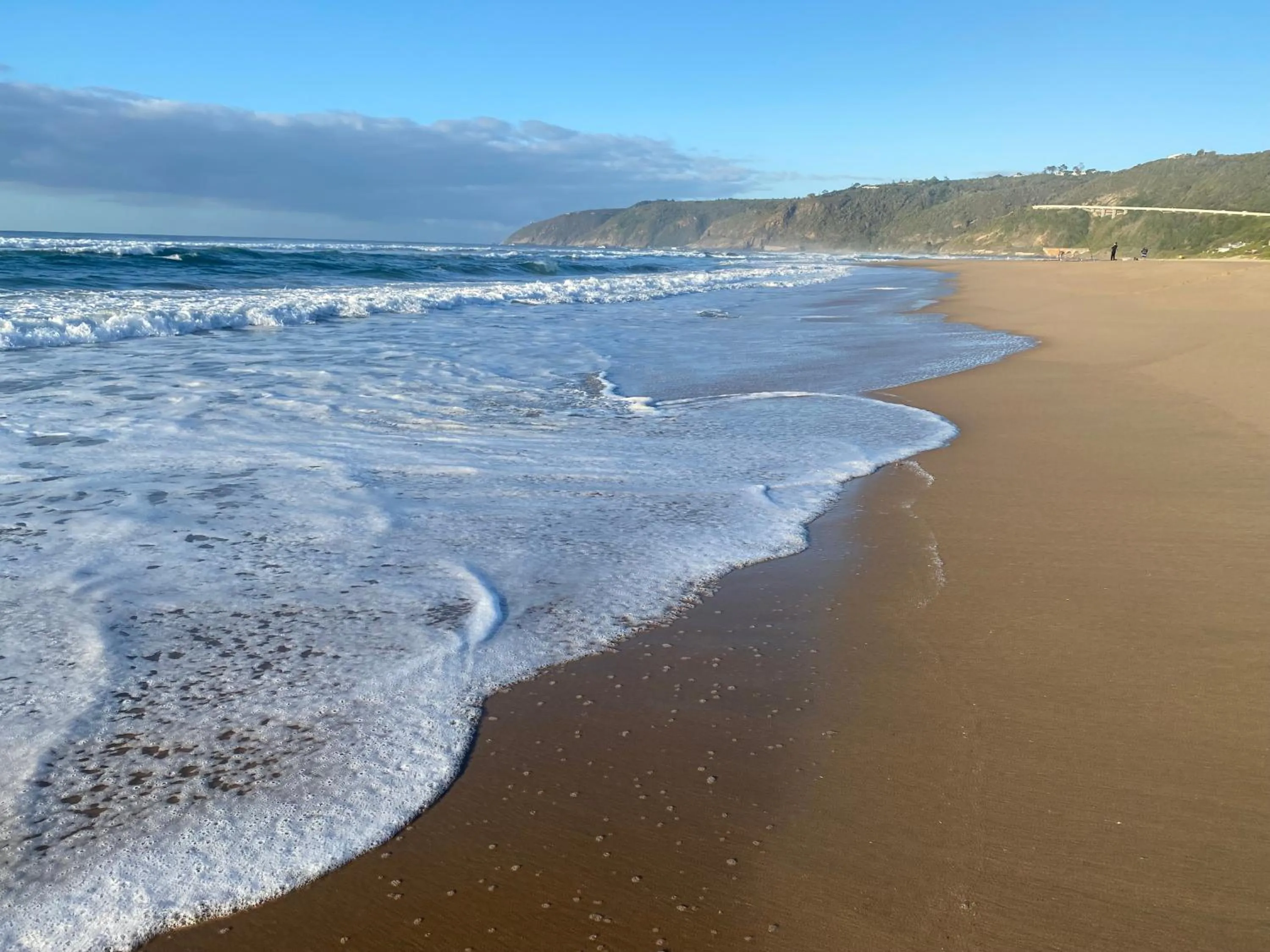 Beach in Sea Paradise