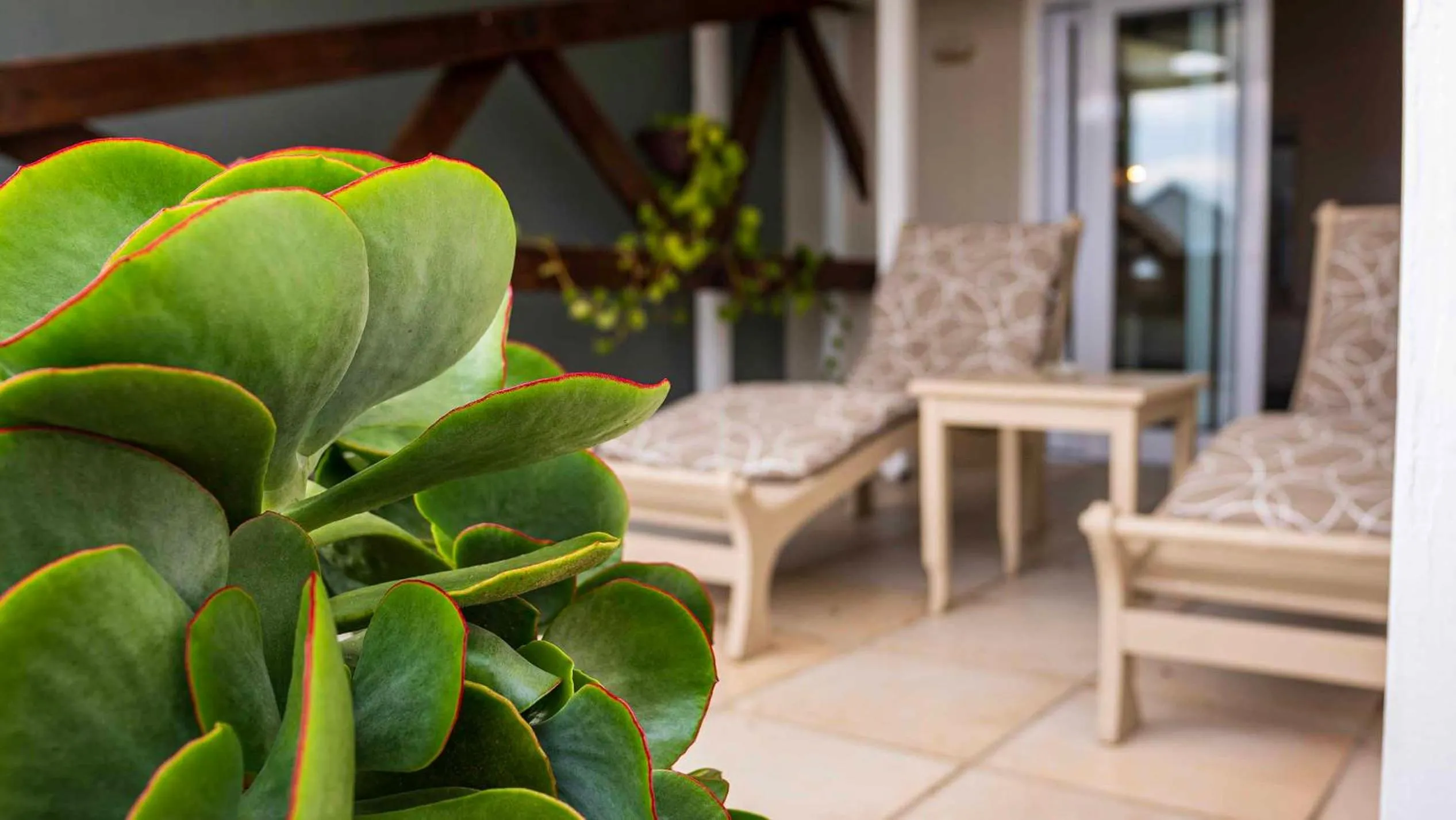 Balcony/Terrace in The Lofts Boutique Hotel