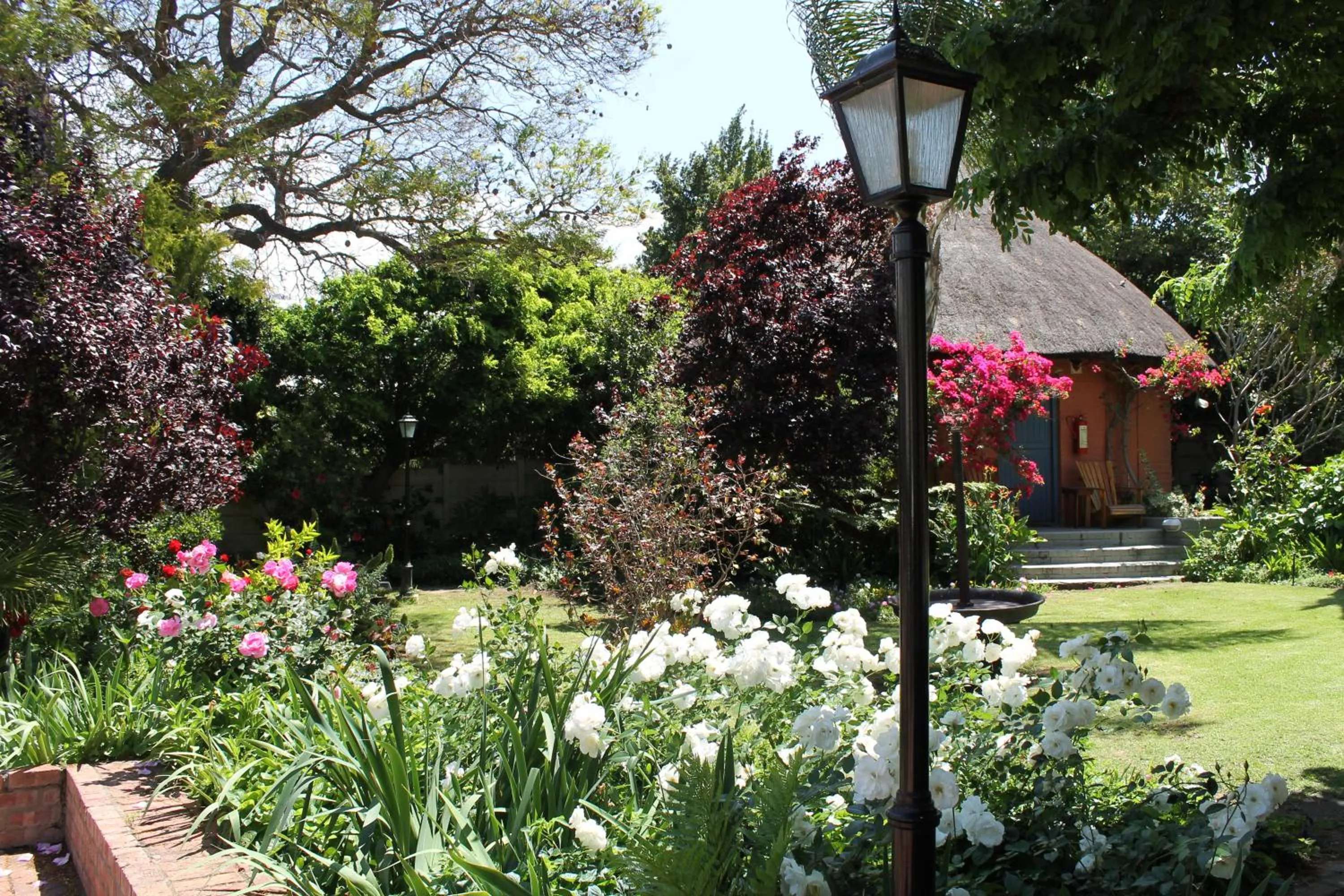 Garden in Montagu Country Hotel