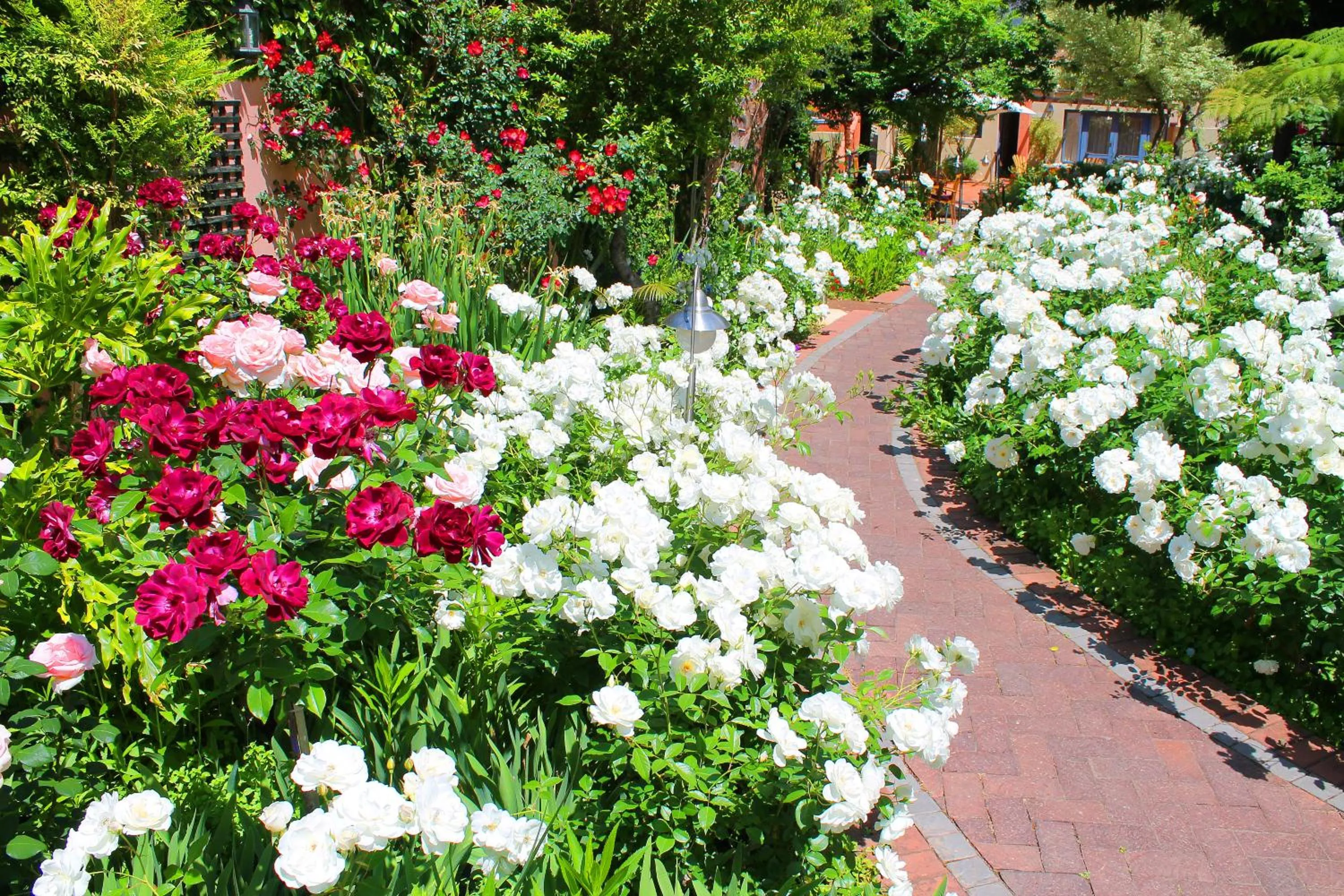 Garden in Montagu Country Hotel