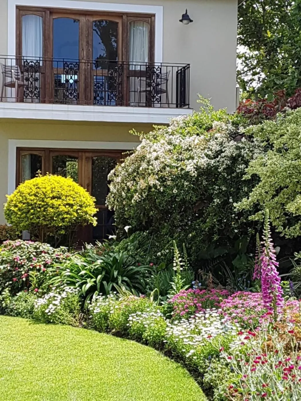 Garden in Lemon Tree Lane