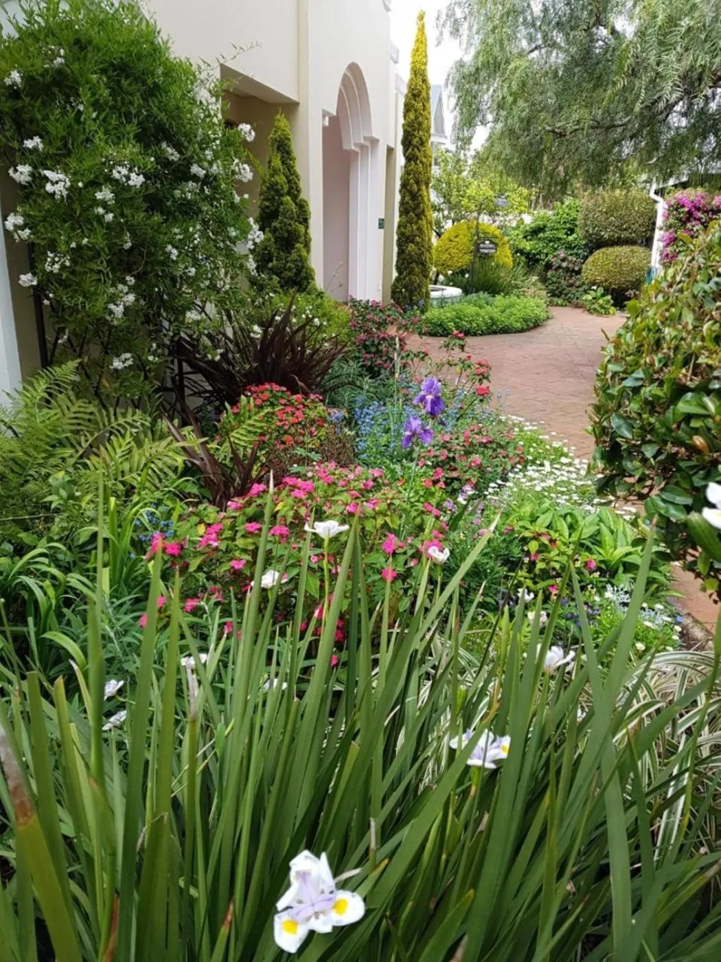 Garden in Lemon Tree Lane