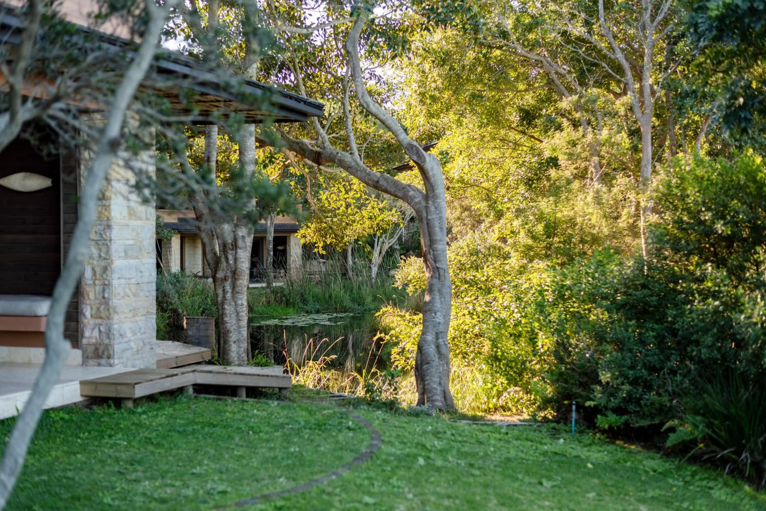 Natural landscape in Pezula Nature Retreat
