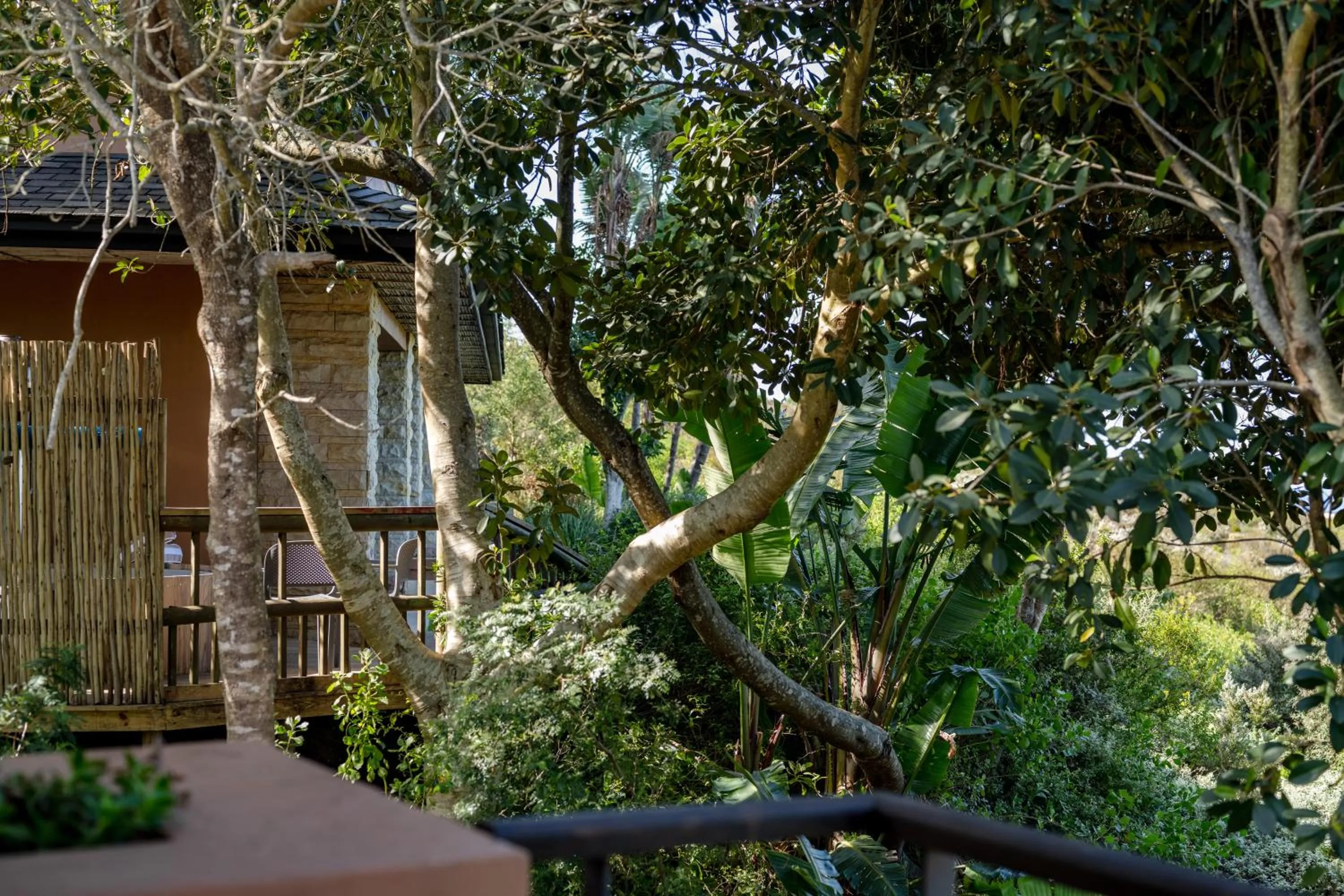 Natural landscape in Pezula Nature Retreat