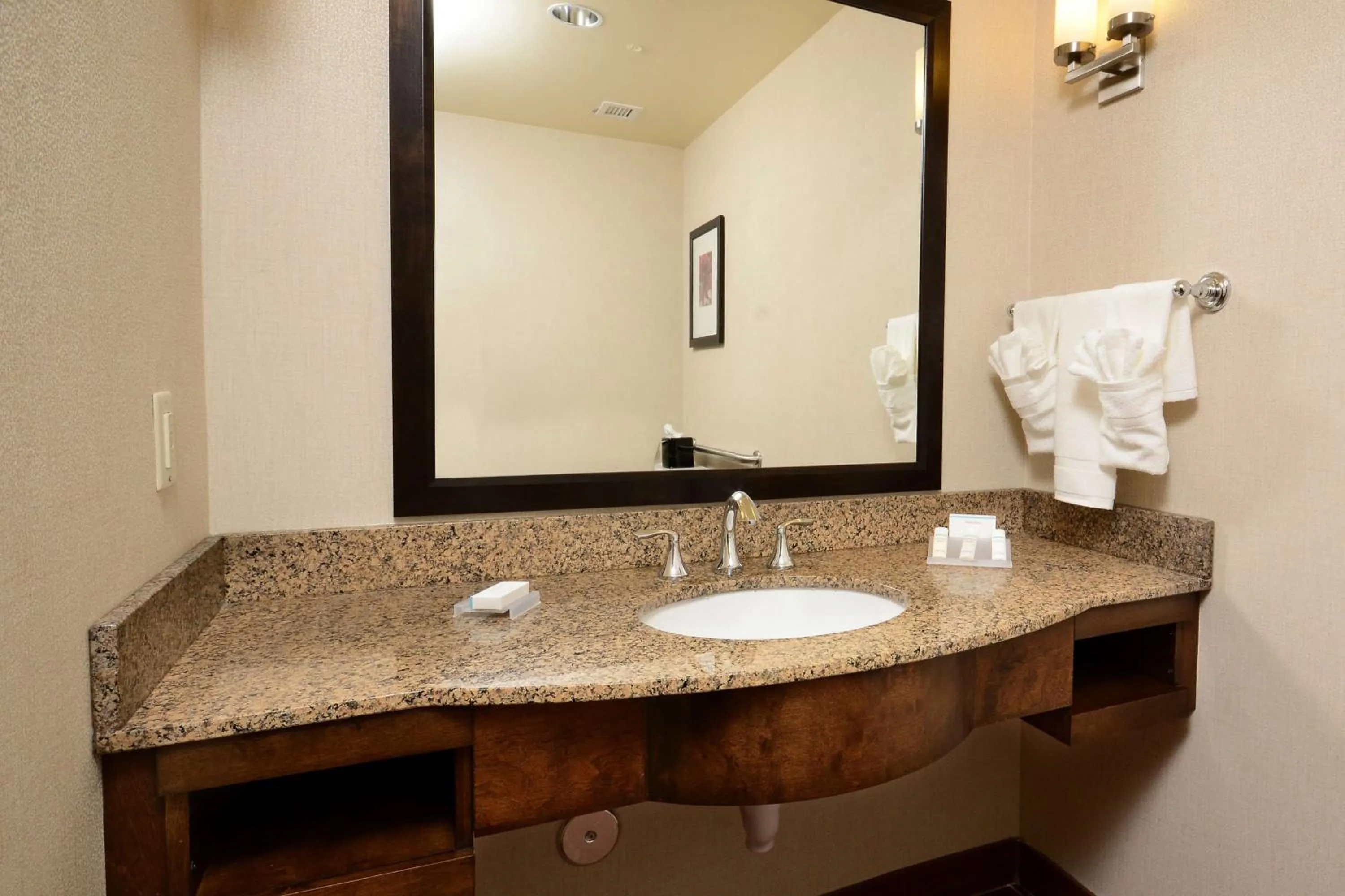 Bathroom in Hilton Garden Inn Greensboro Airport