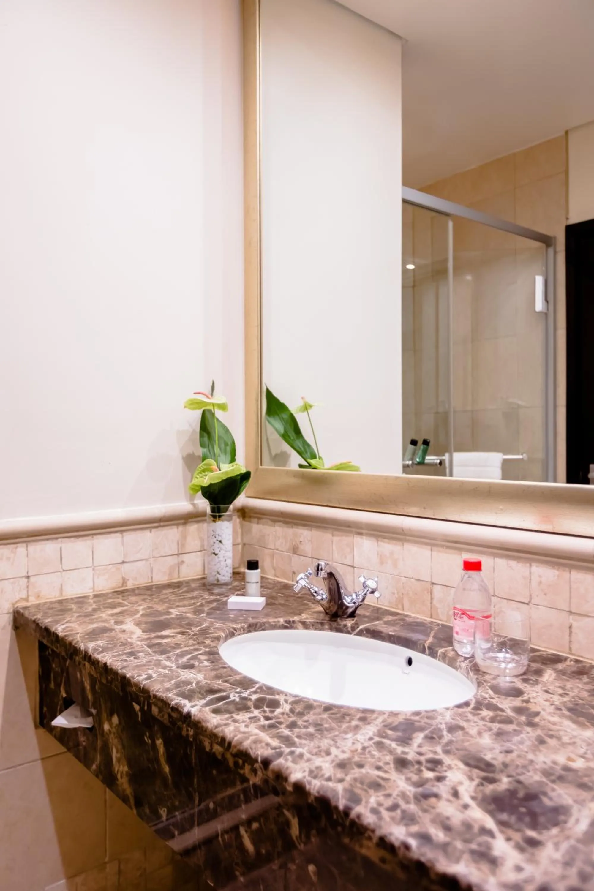 Bathroom in Southern Sun Sandton