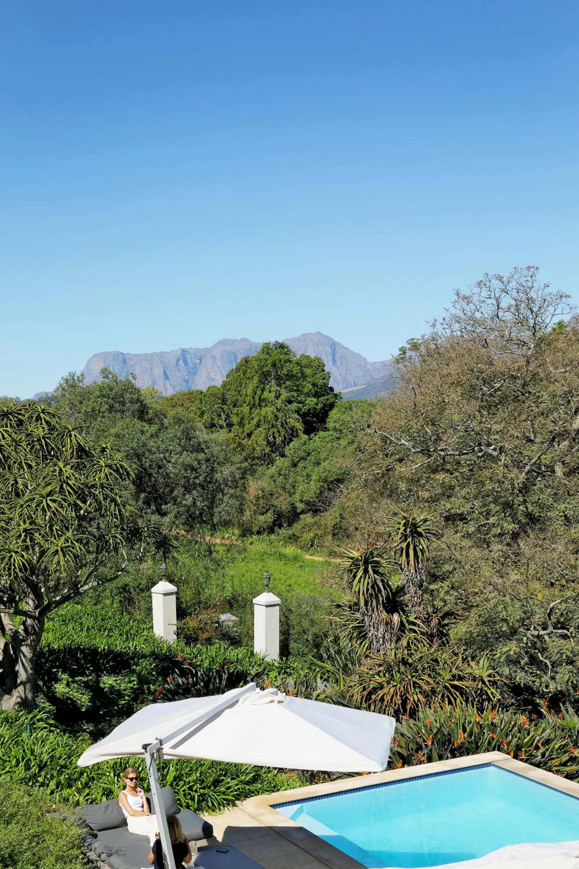 Mountain view in Sugarbird Manor