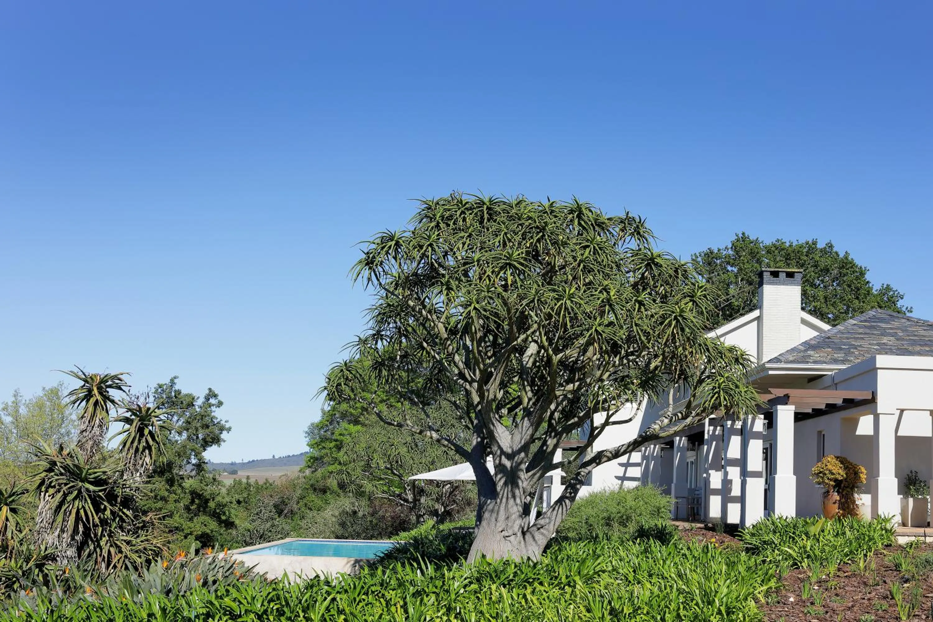 Property building in Sugarbird Manor