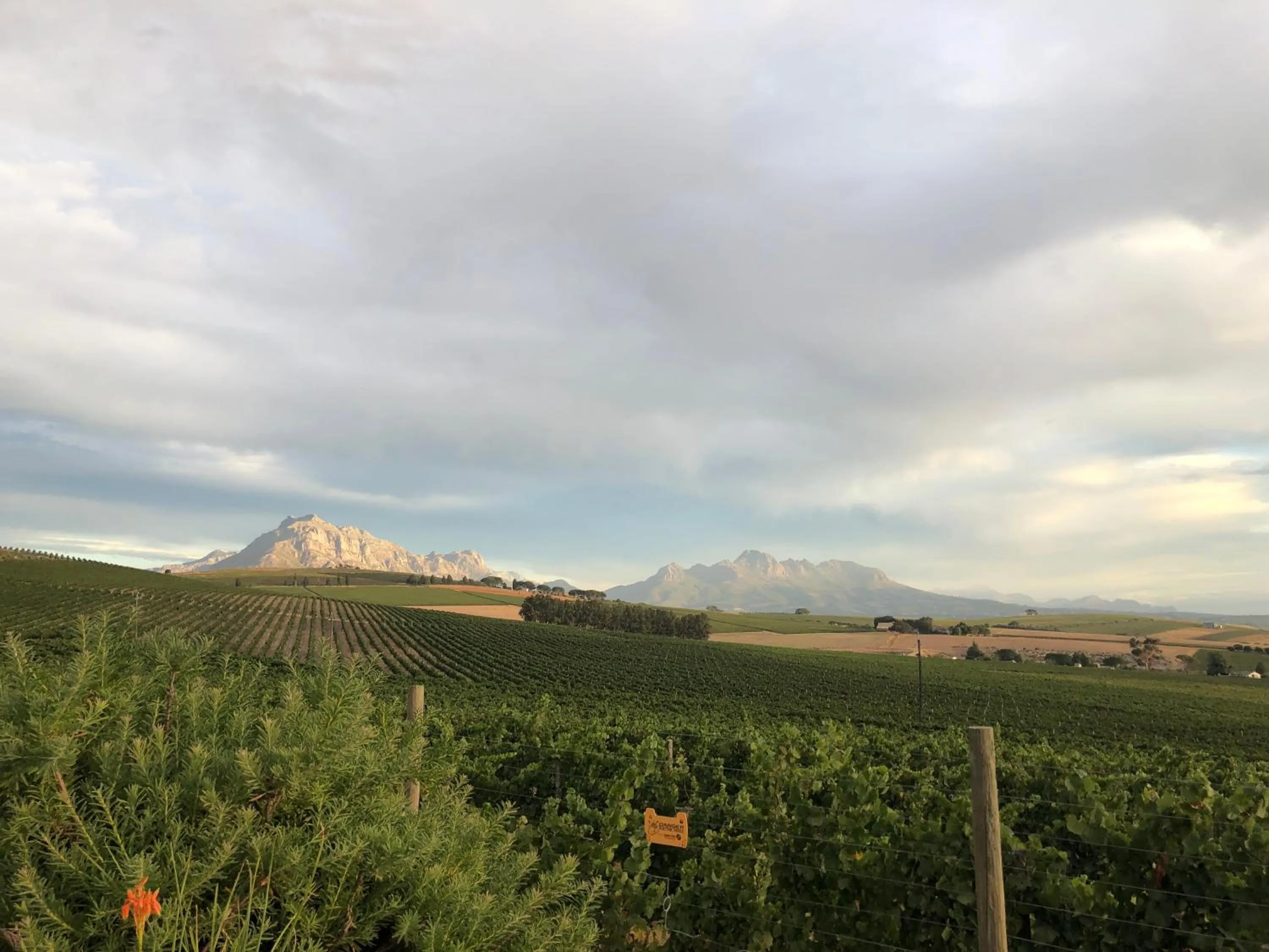 View (from property/room) in Sugarbird Manor