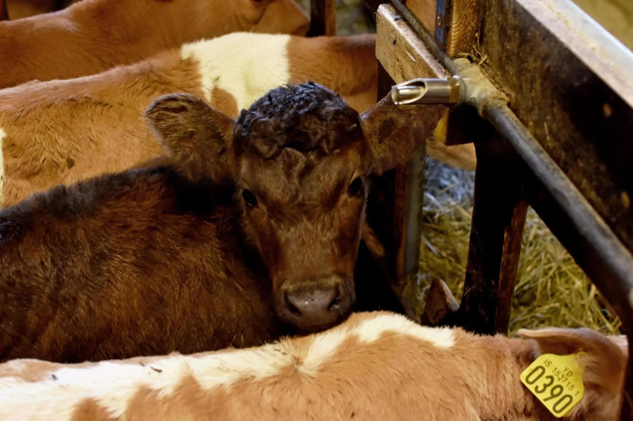 Property building in Breidamyri Farm Apartments