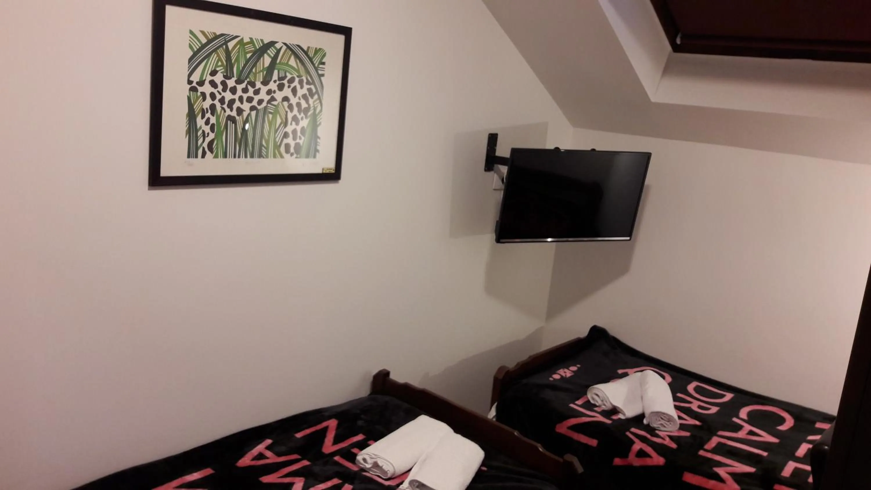 Twin Room with Shared Bathroom in Hostel IN Club