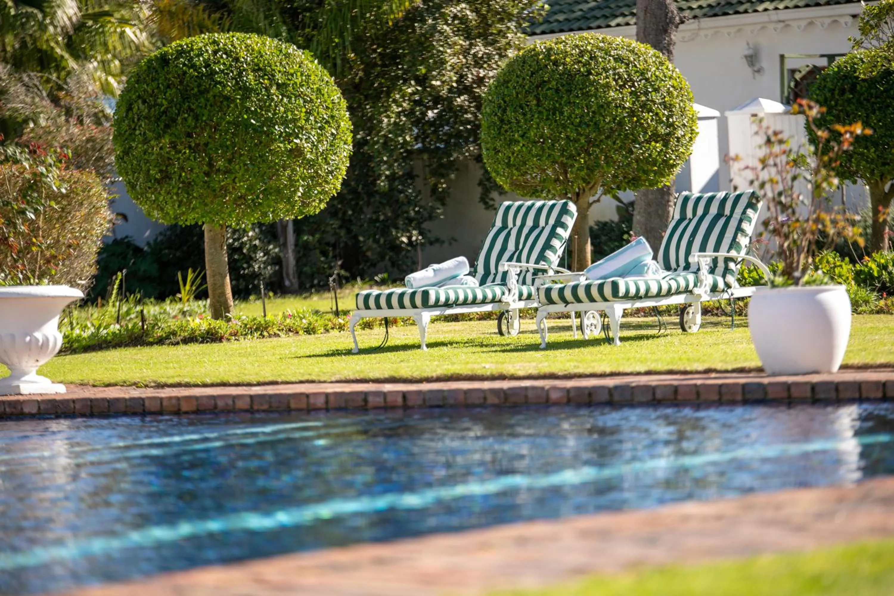 Spring in St. James of Knysna