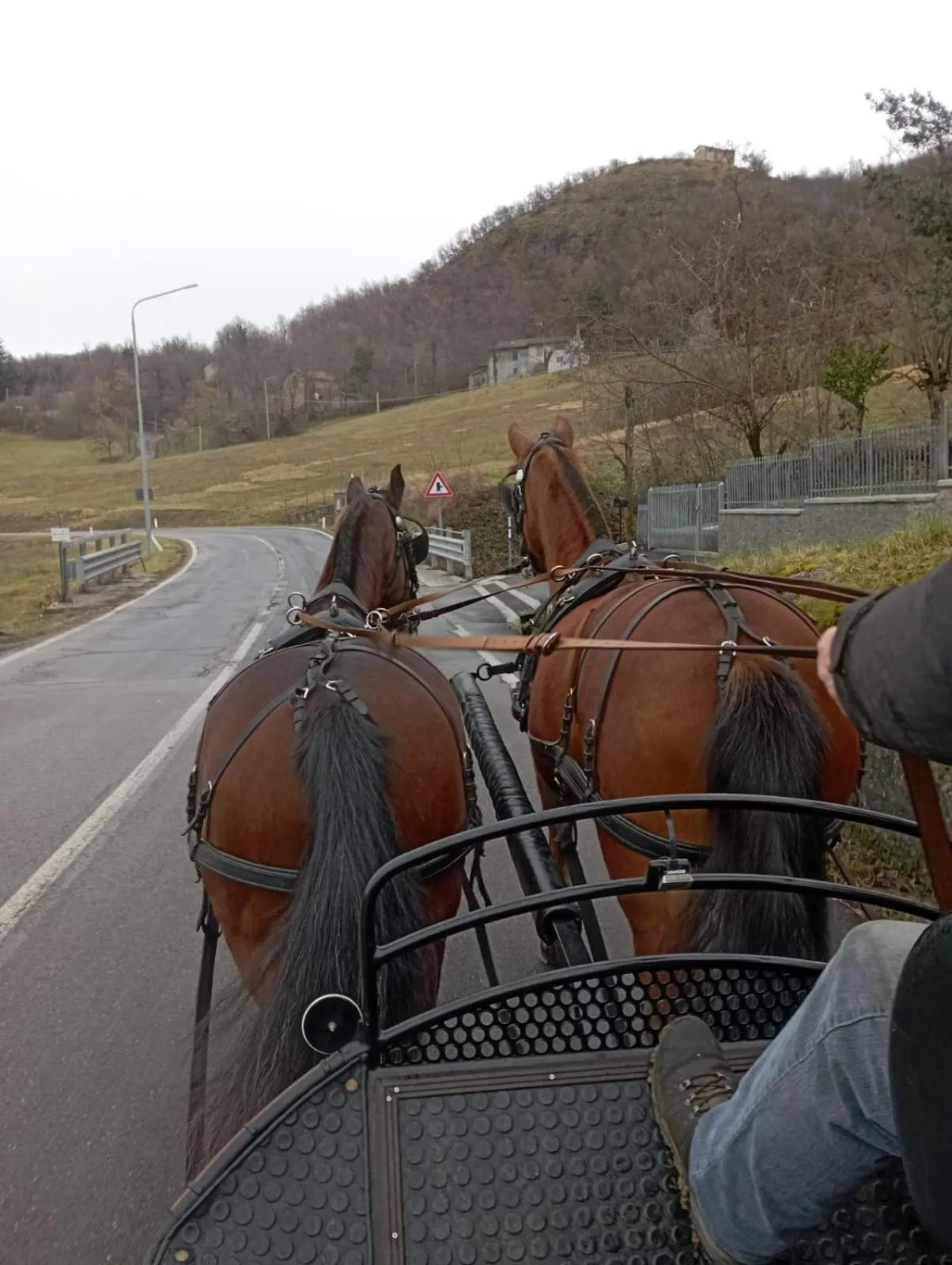 Horse-riding in Fattoria Ca' di Fatino