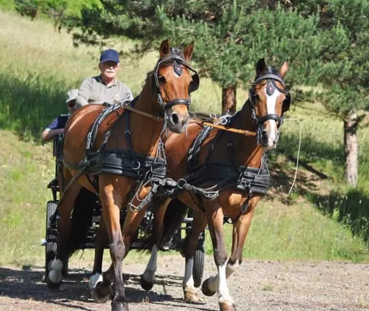 Horse-riding in Fattoria Ca' di Fatino