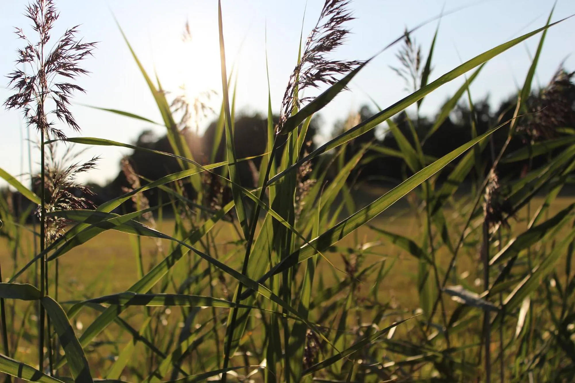 Natural landscape in Meri-Karina